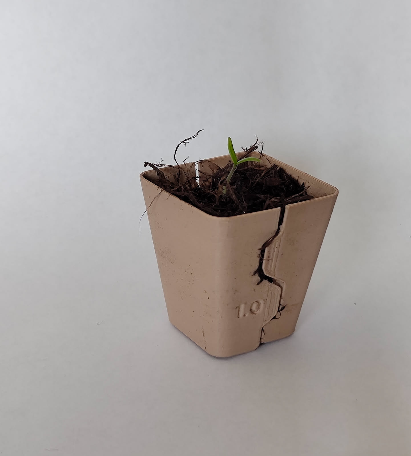 Gridfinity Compatible Splitting Germination Pots 3D model thumbnail