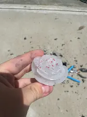 Mold for a silicone rose