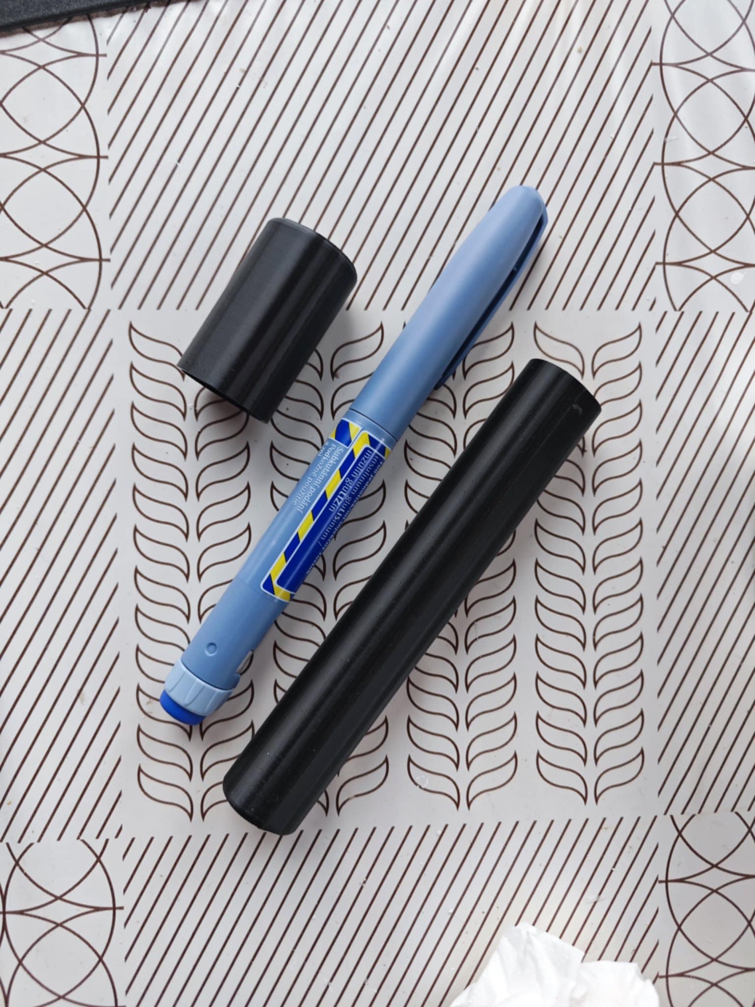 Insulin pen case