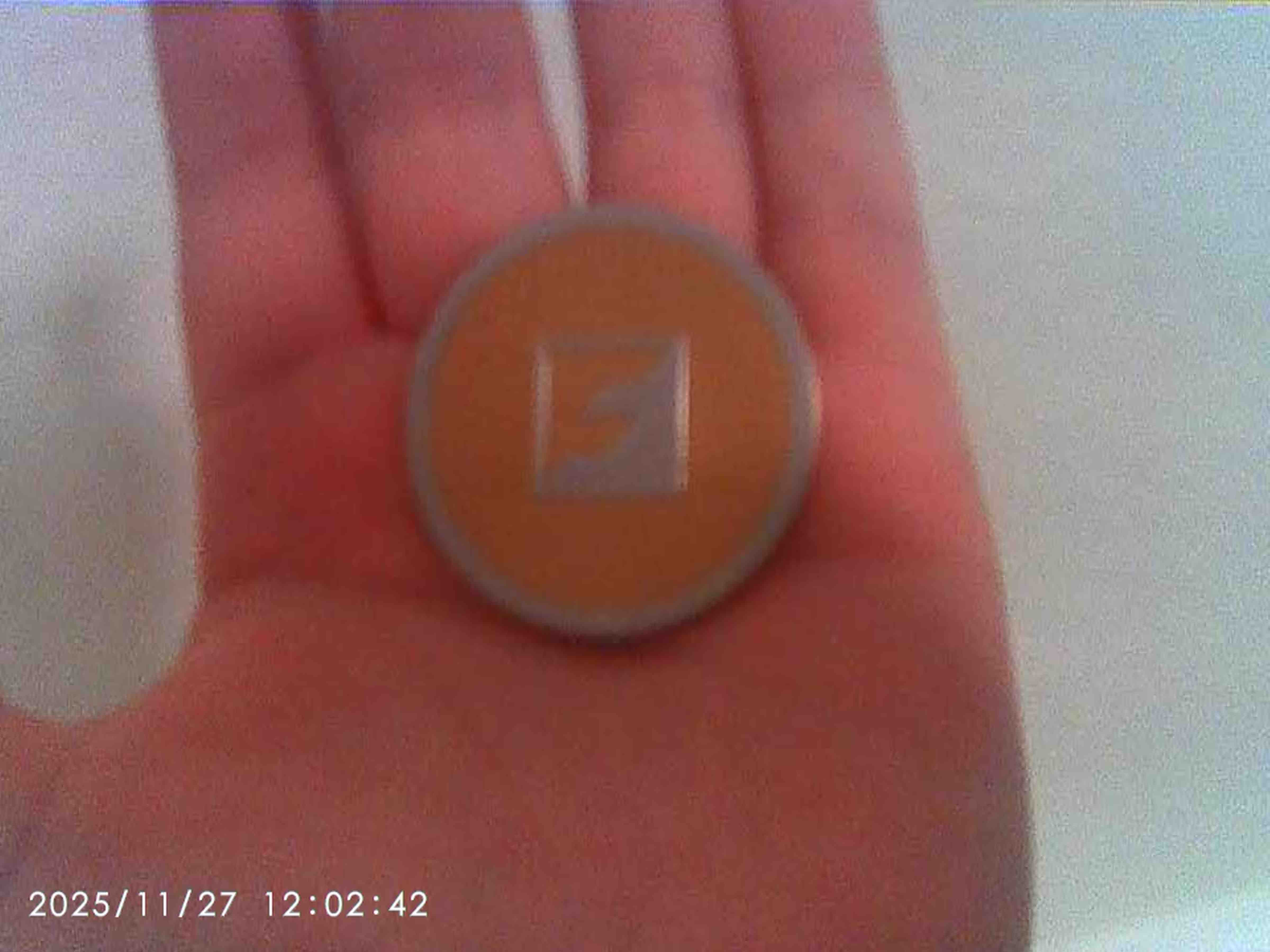 flashforge coin test model