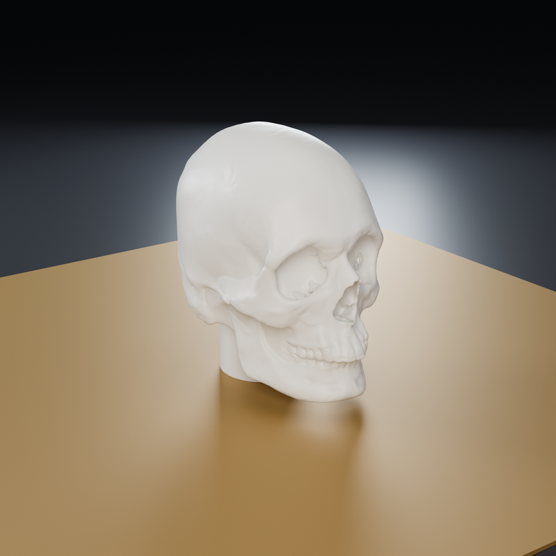Realistic Skull Shifter Knob – Thrustmaster TH8S & Logitech RS H ...