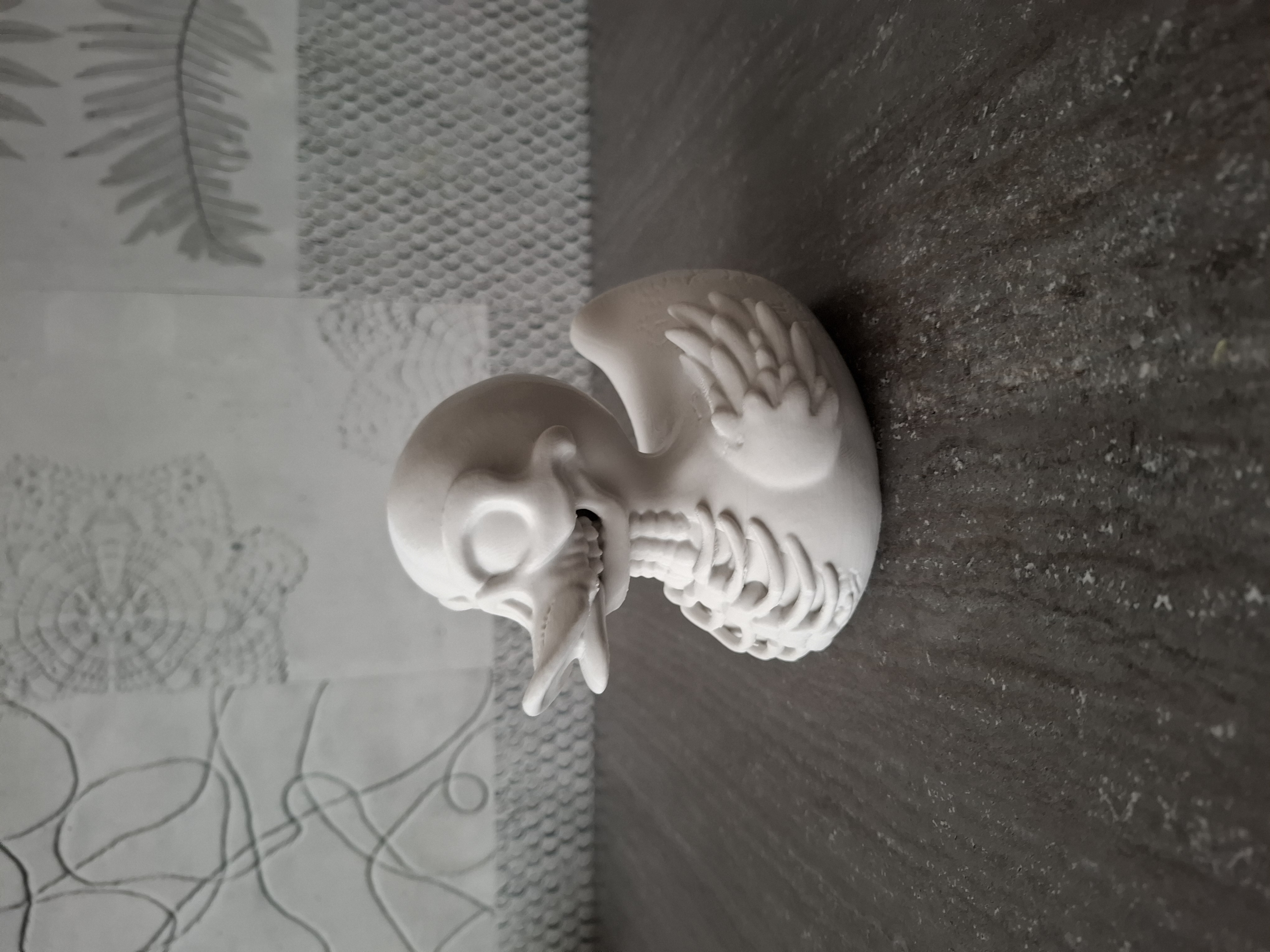 Miniatura 3 do modelo 3D Bone Duck