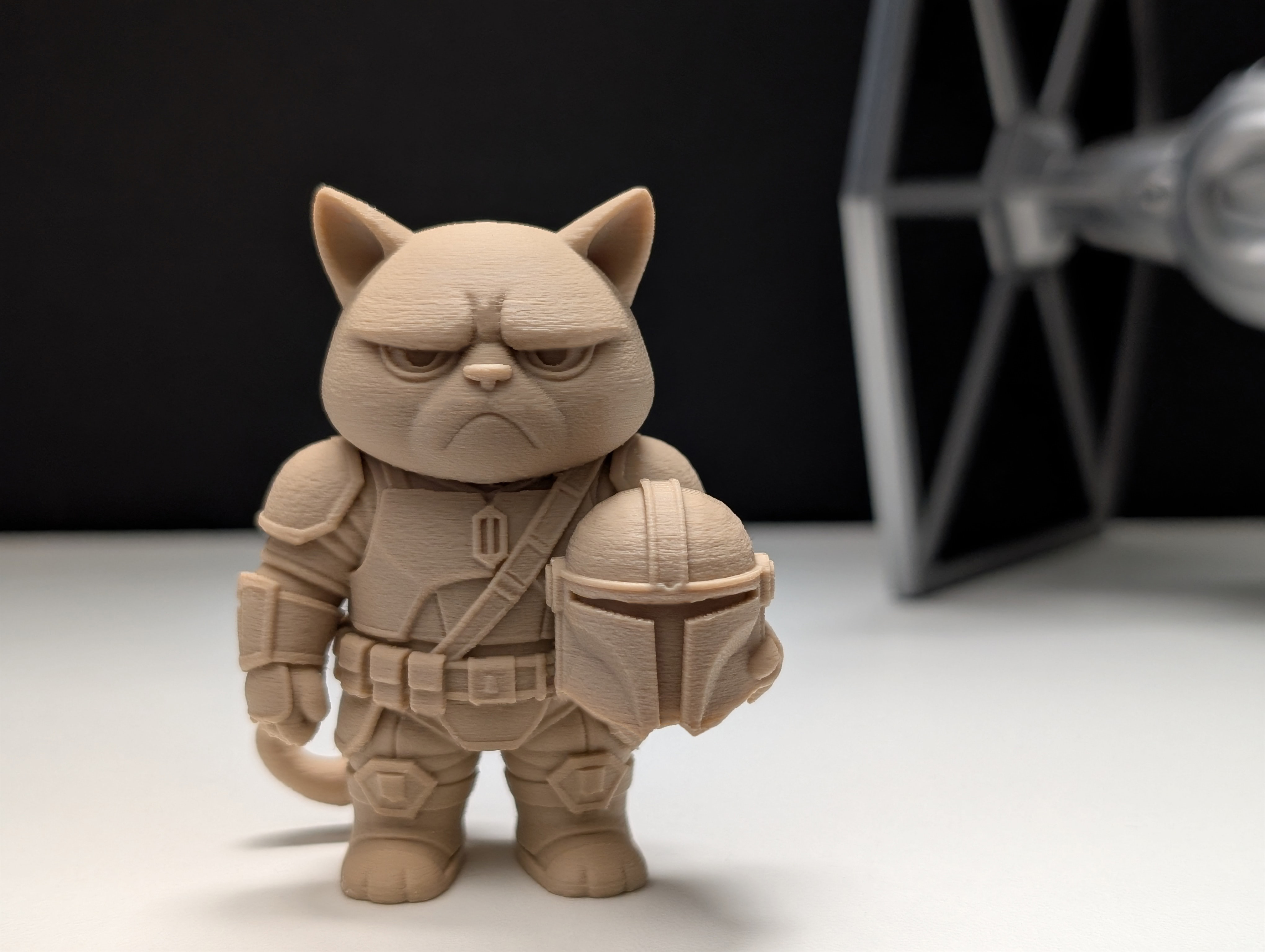 Grumpy Cat Mandalorian