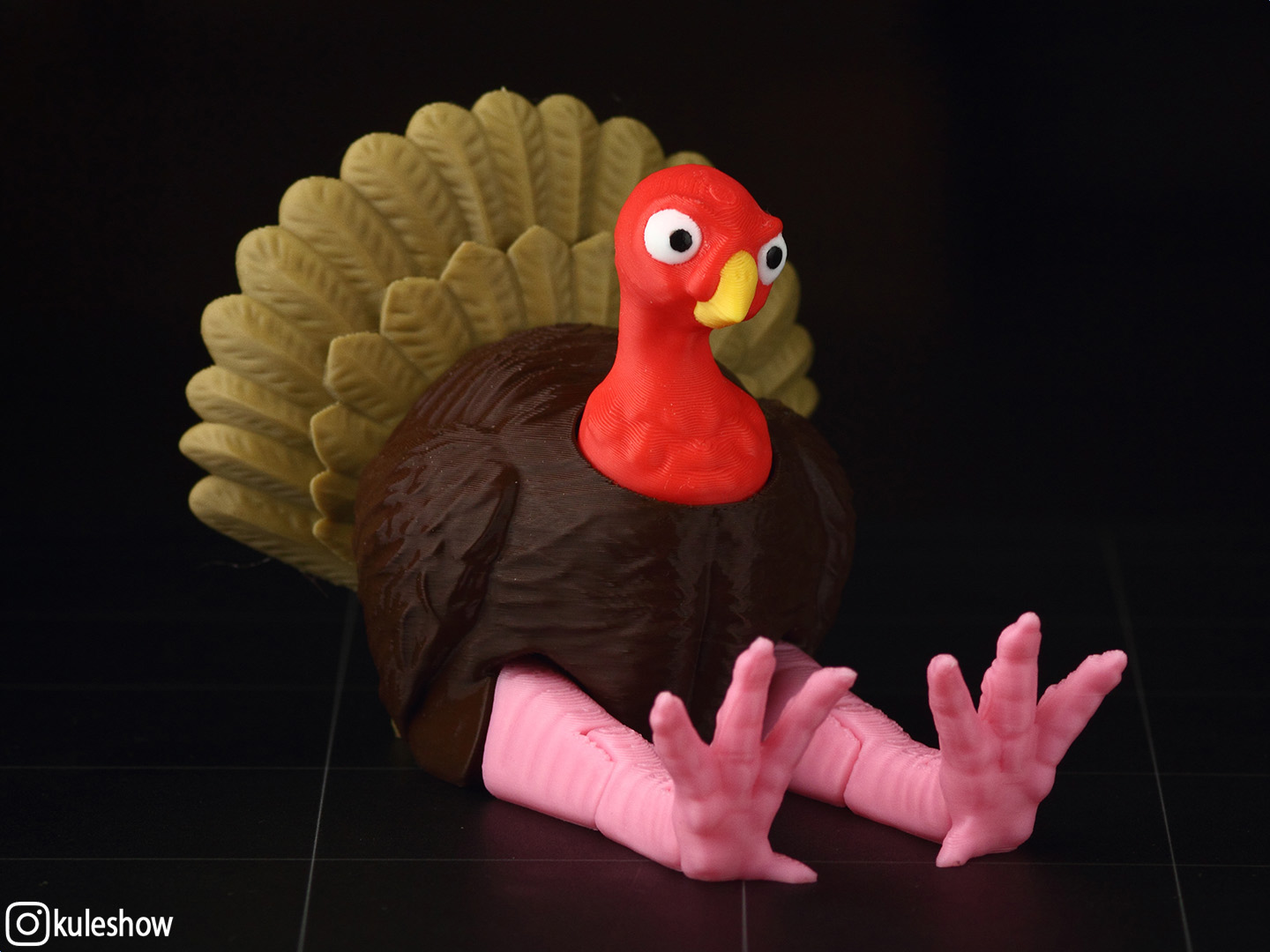 Wild turkey 2.0