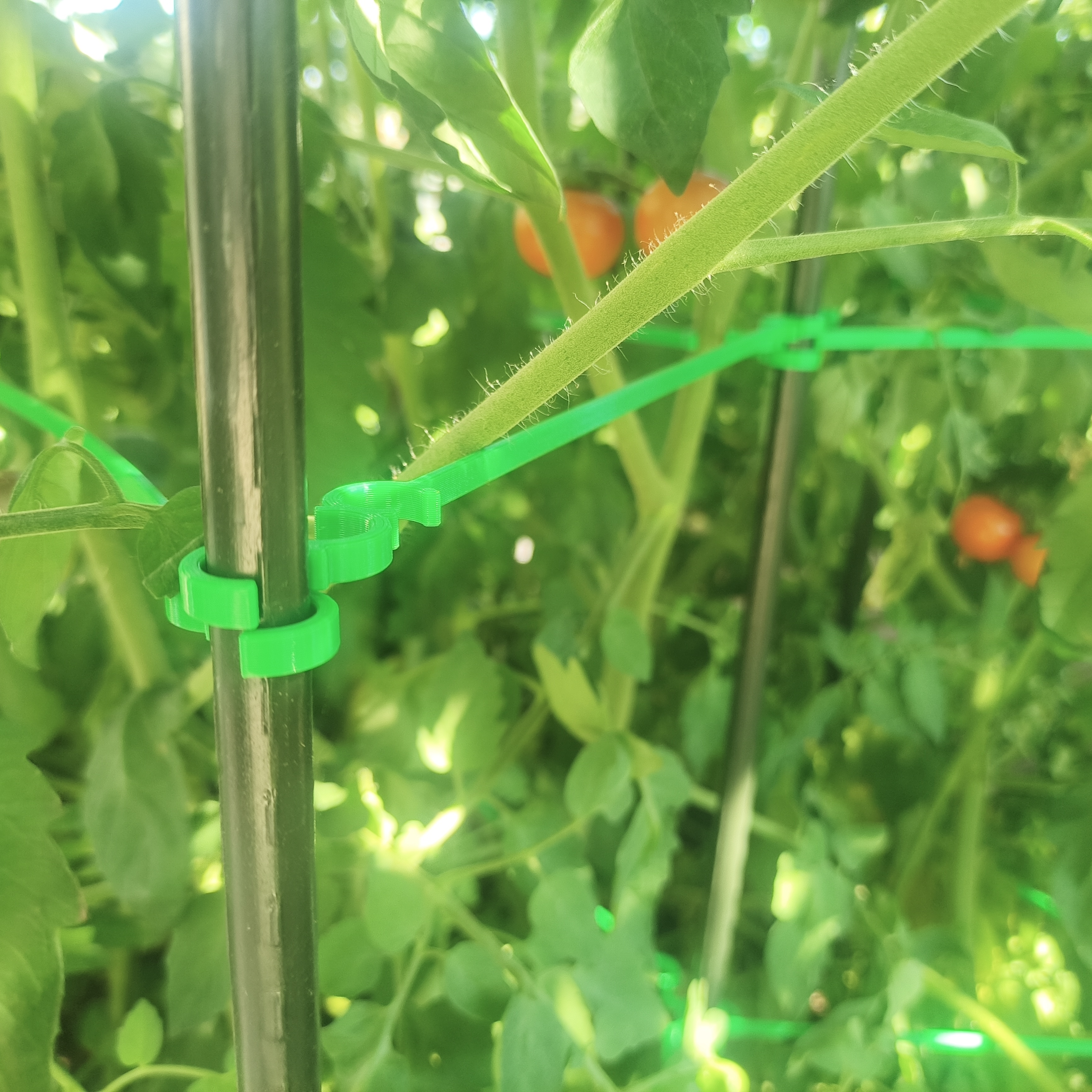 Planting Guide for 11 mm Support Rods
