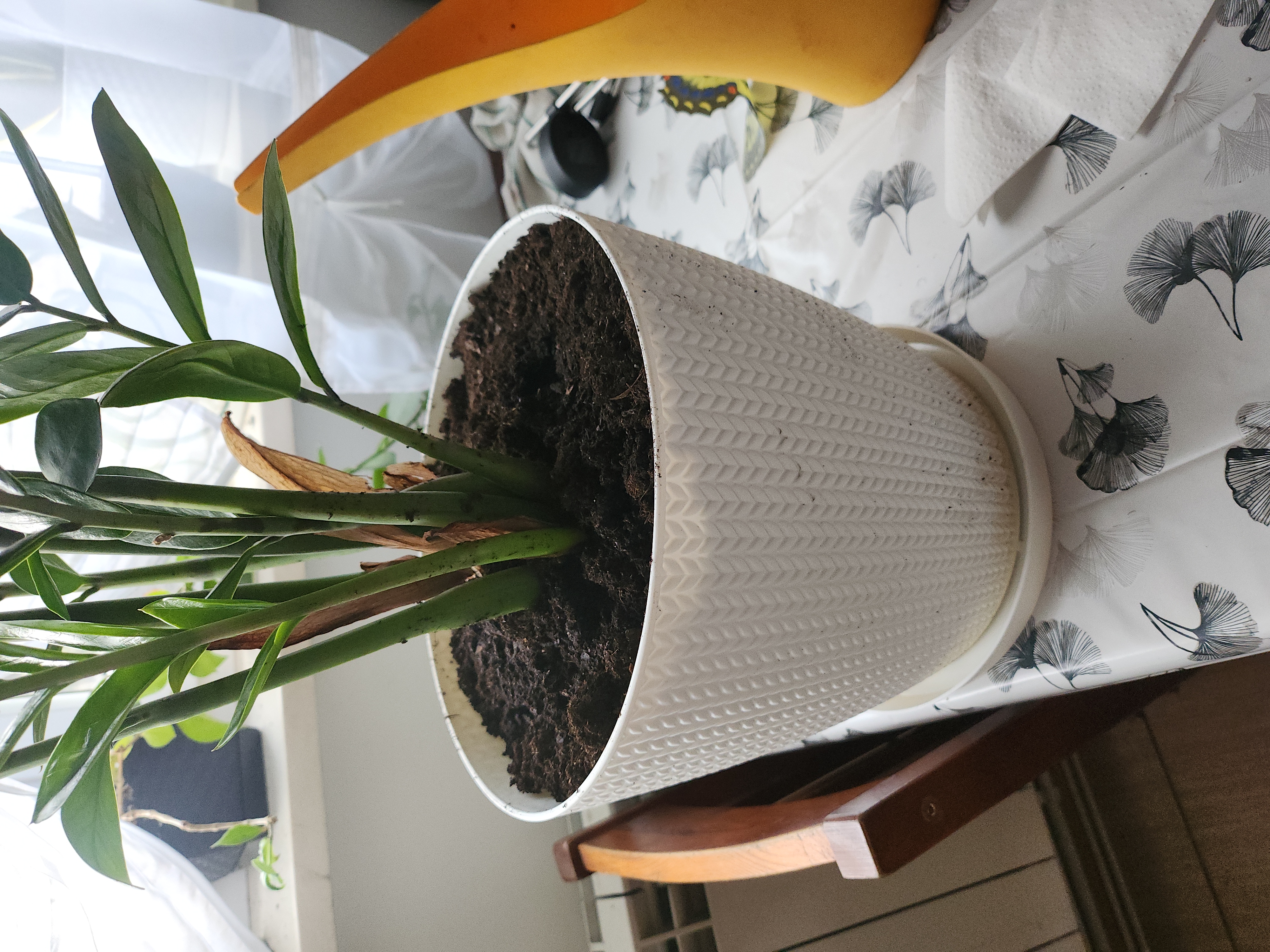 Podstawka pod dużą doniczkę Plant pot large base 19.7cm