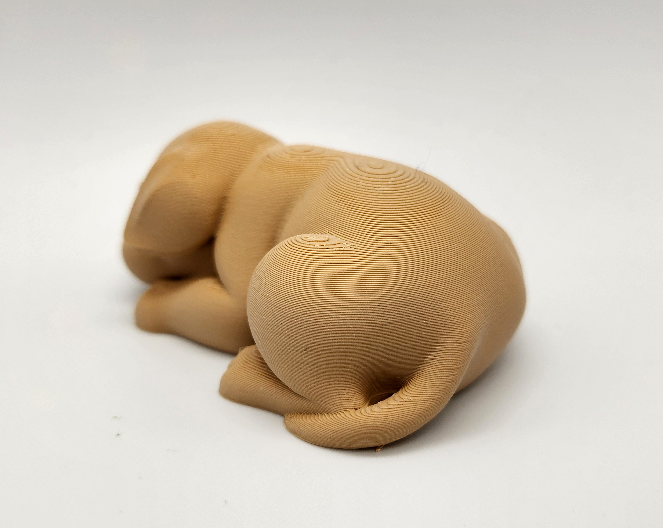 Sleeping Puppy — miniatura 5