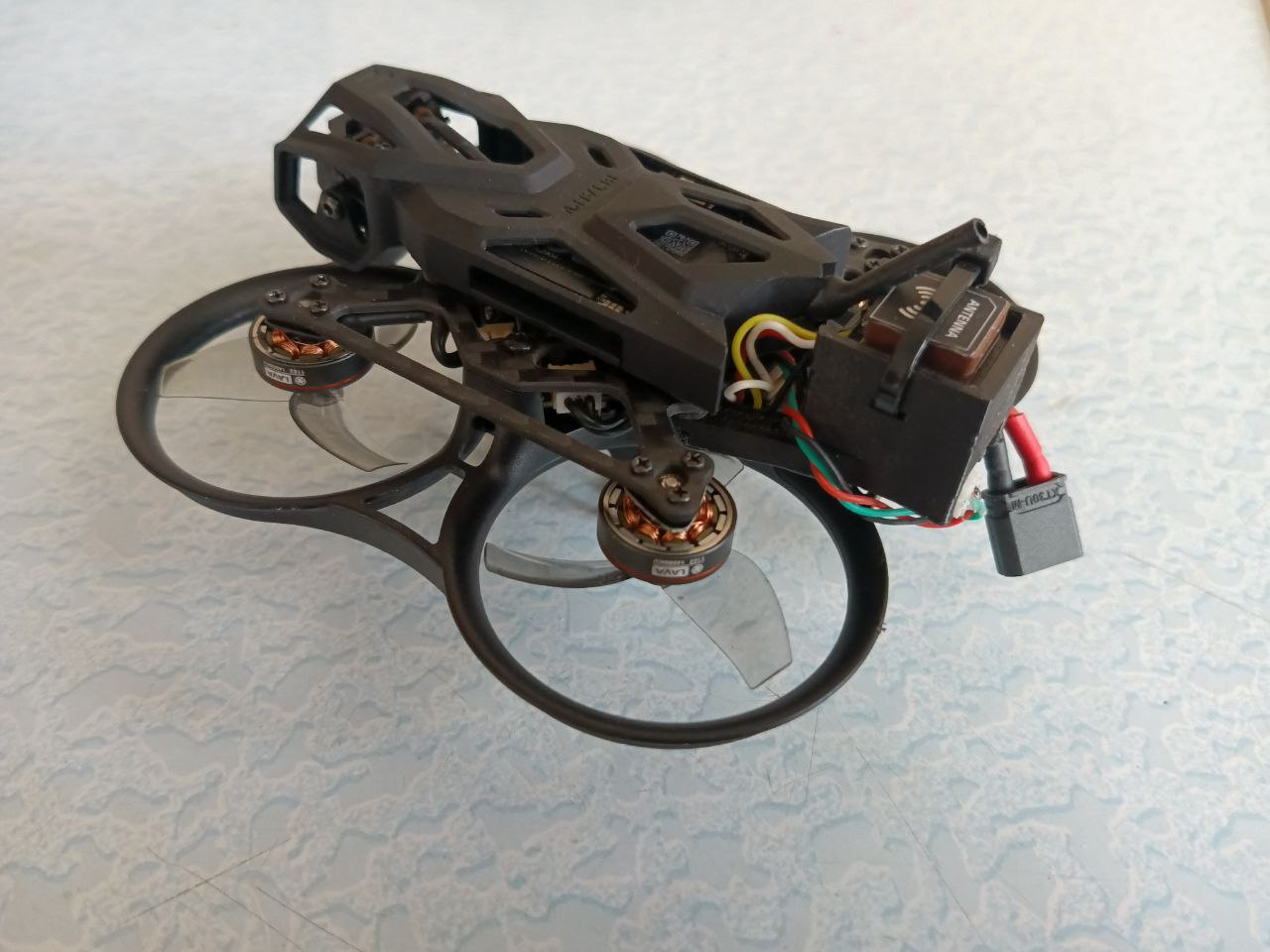 GPS and Buzzer mount for Pavo Femto