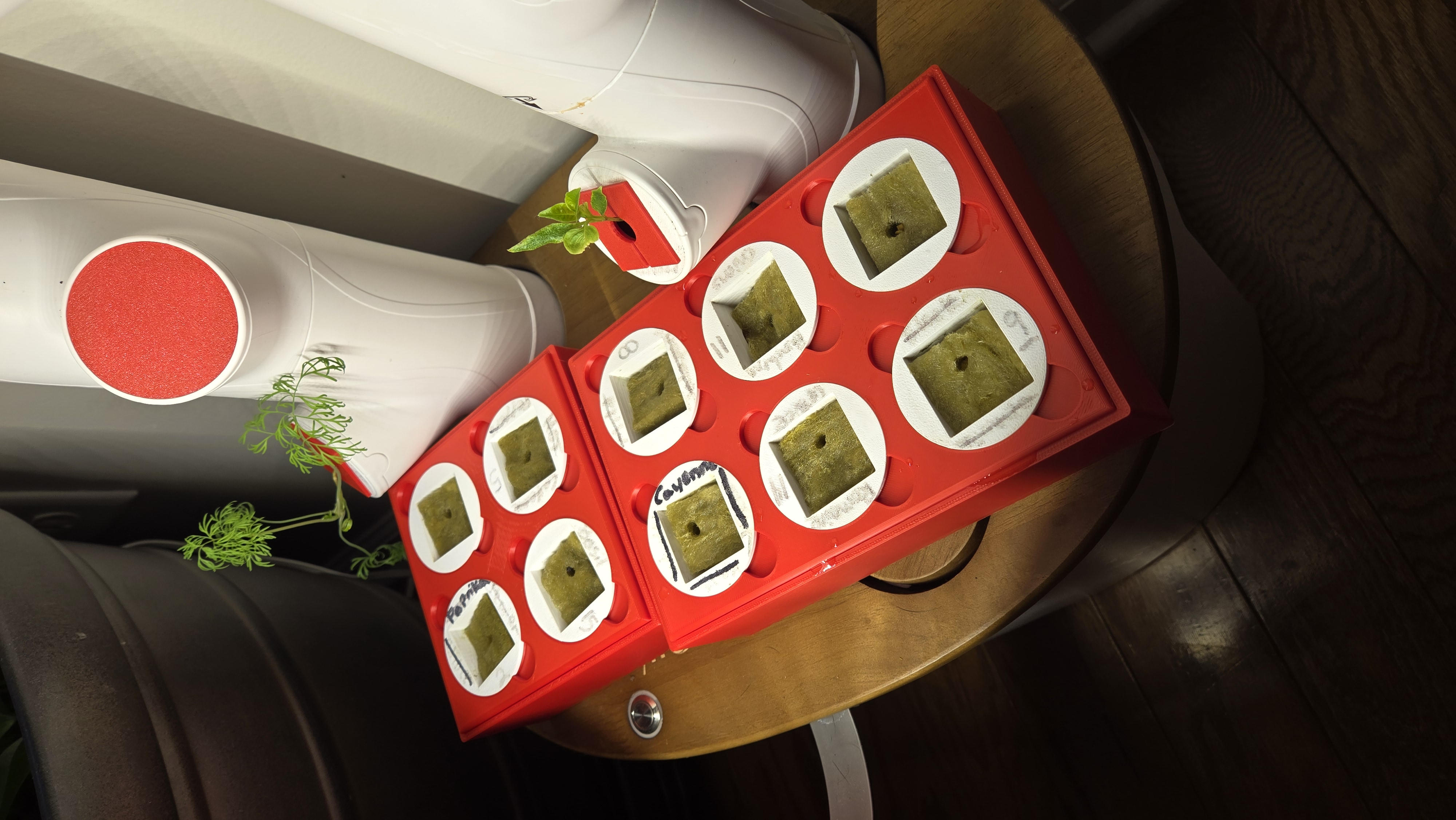 Hydroponic Seed Starting Nursery