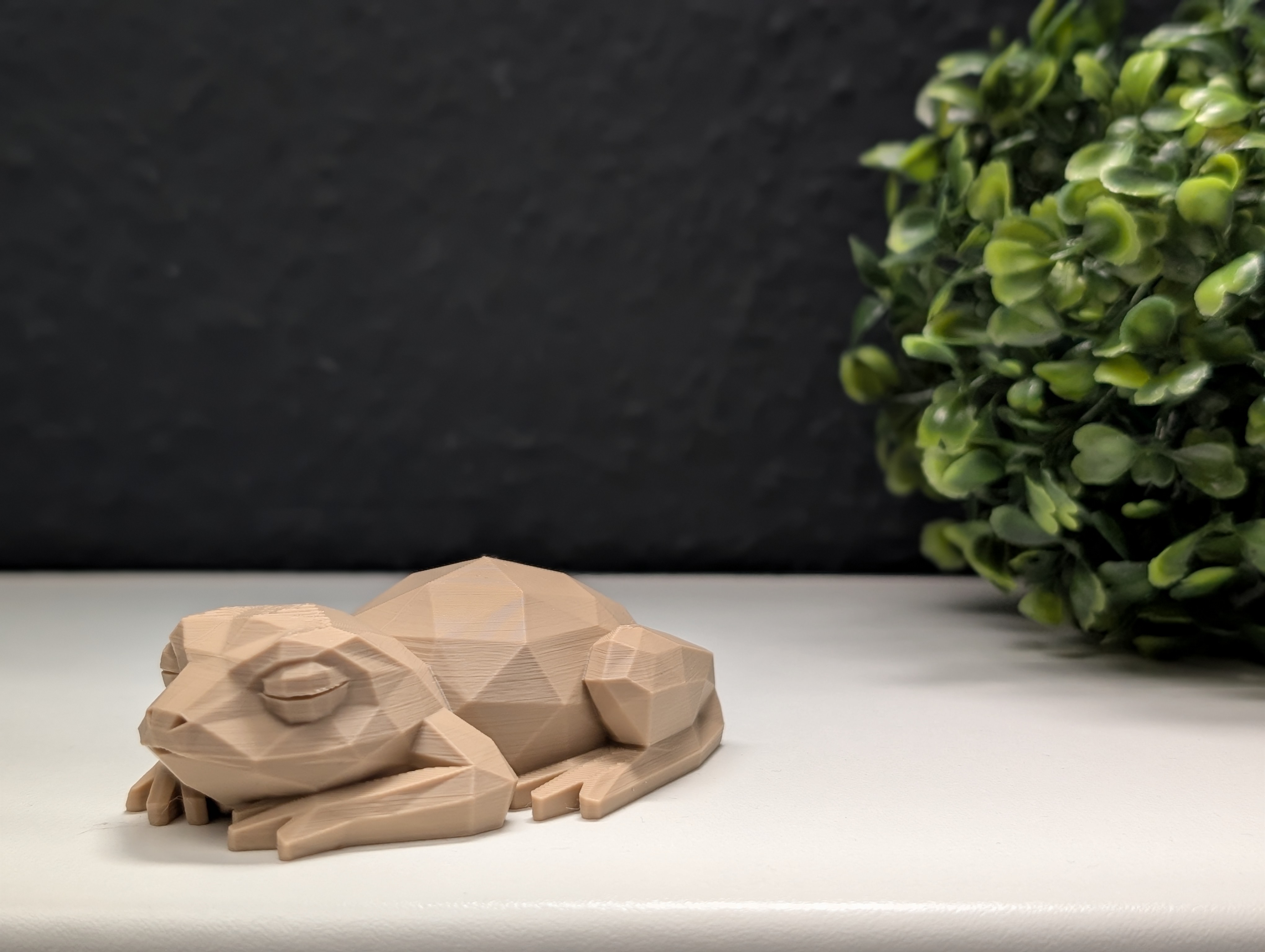 Miniatura 9 do modelo 3D Low Poly Sleeping Frog