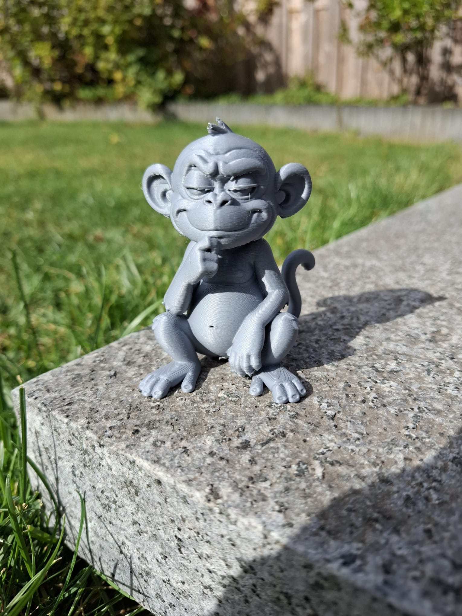 Cheeky Thinking Monkey