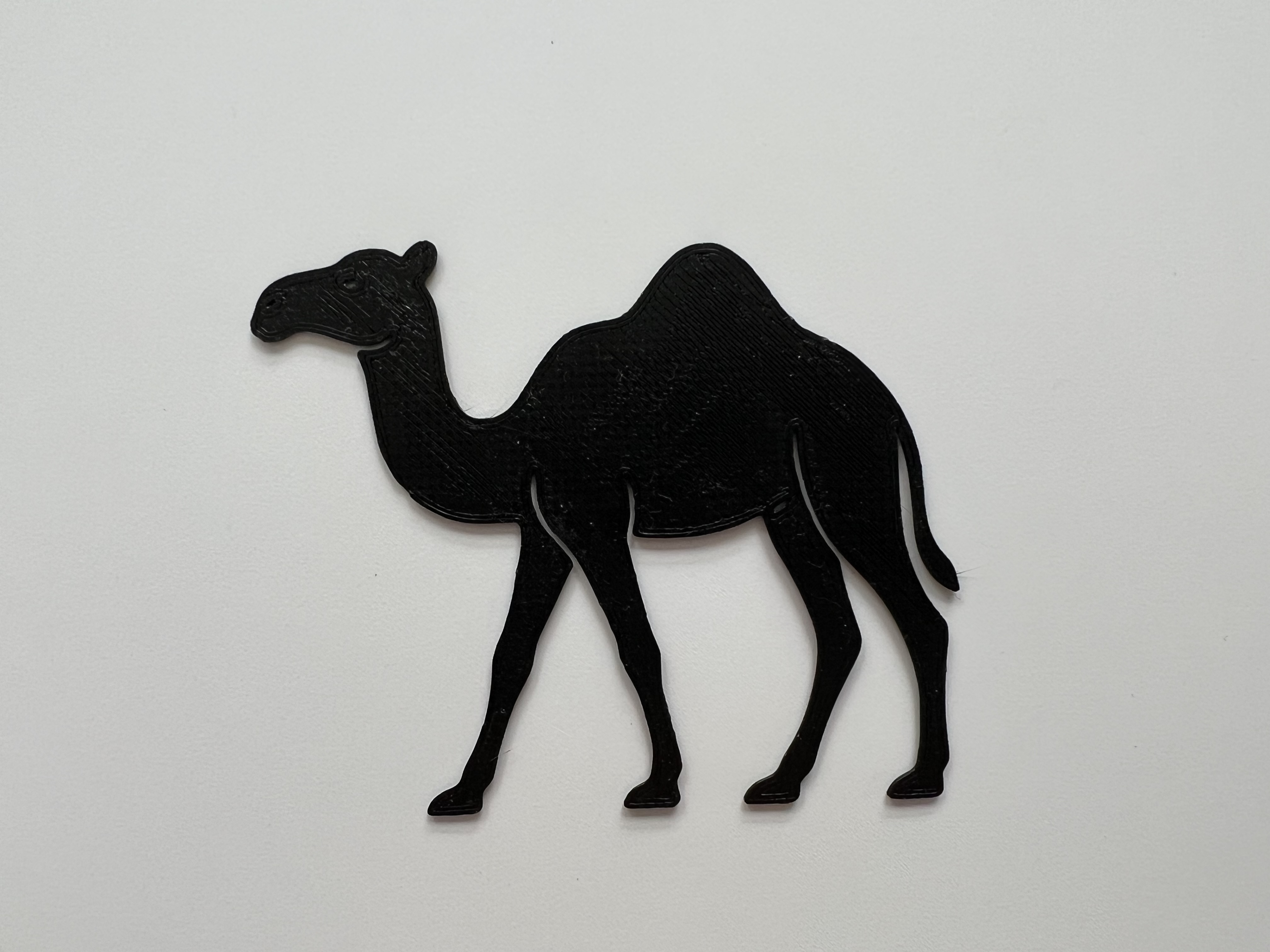 Camel Wall Art #2