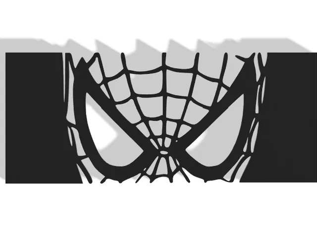 Spiderman Decor