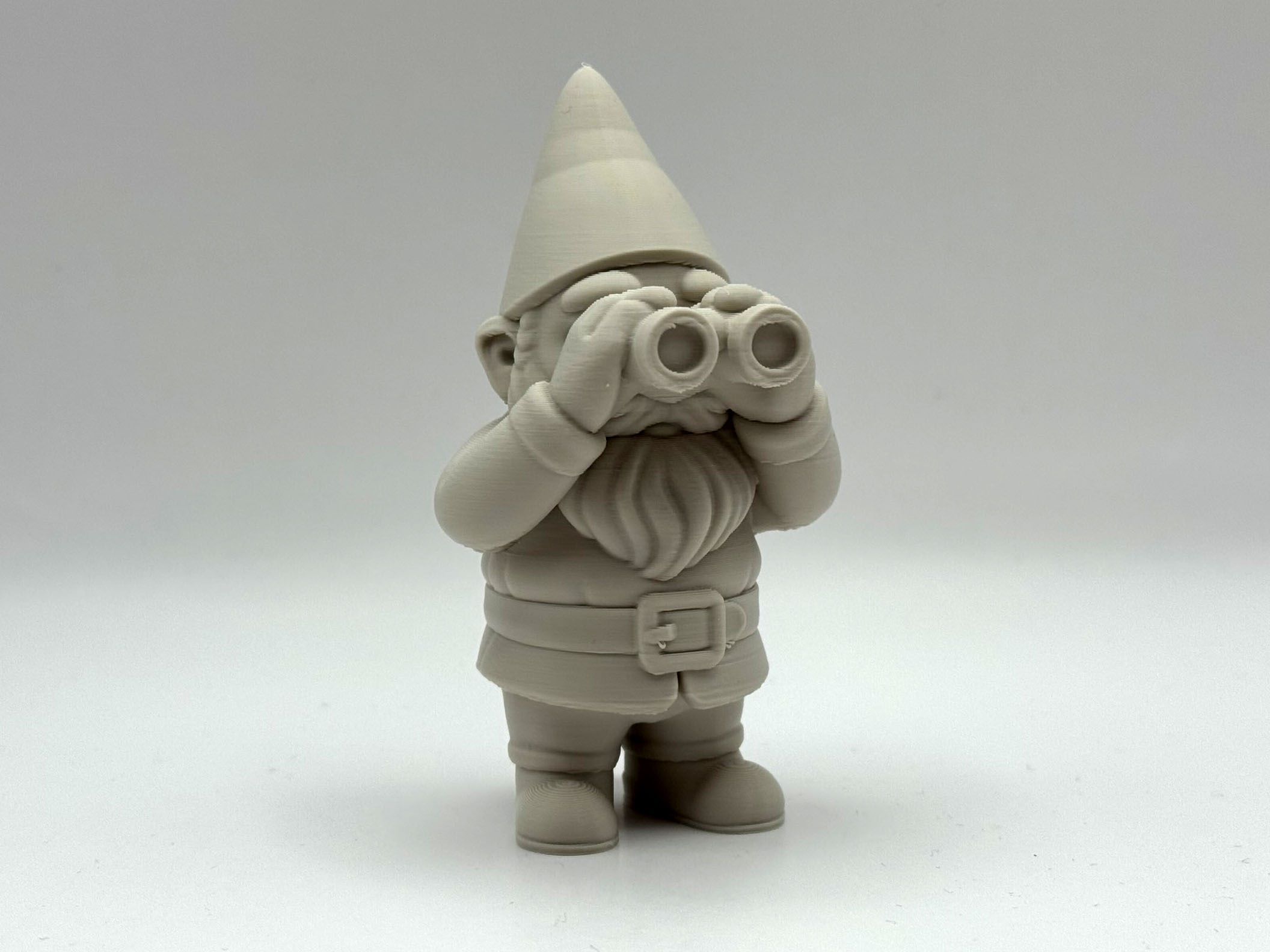 Peeking Garden Gnome