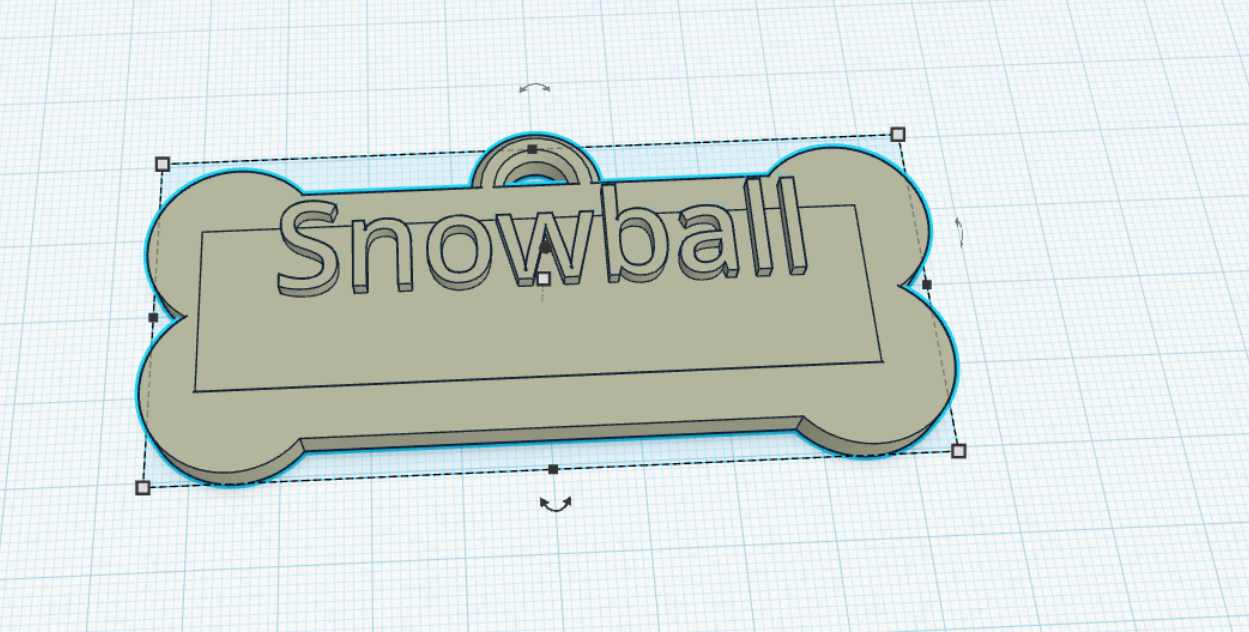 Name tag for snowball