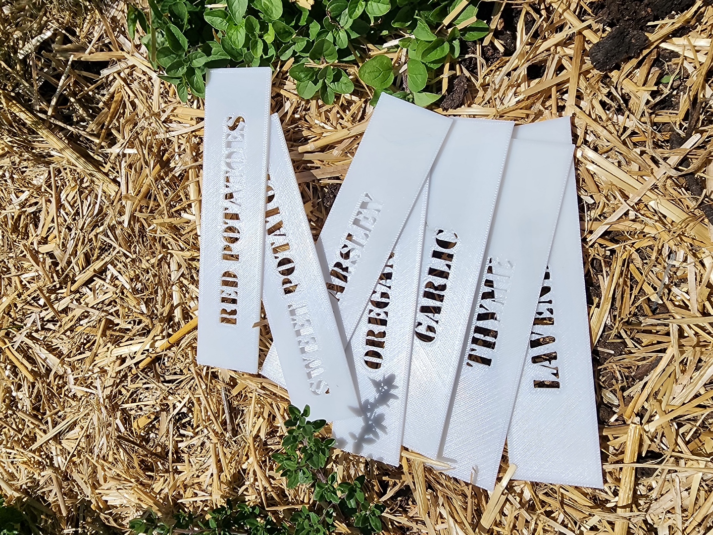 Garden Labels