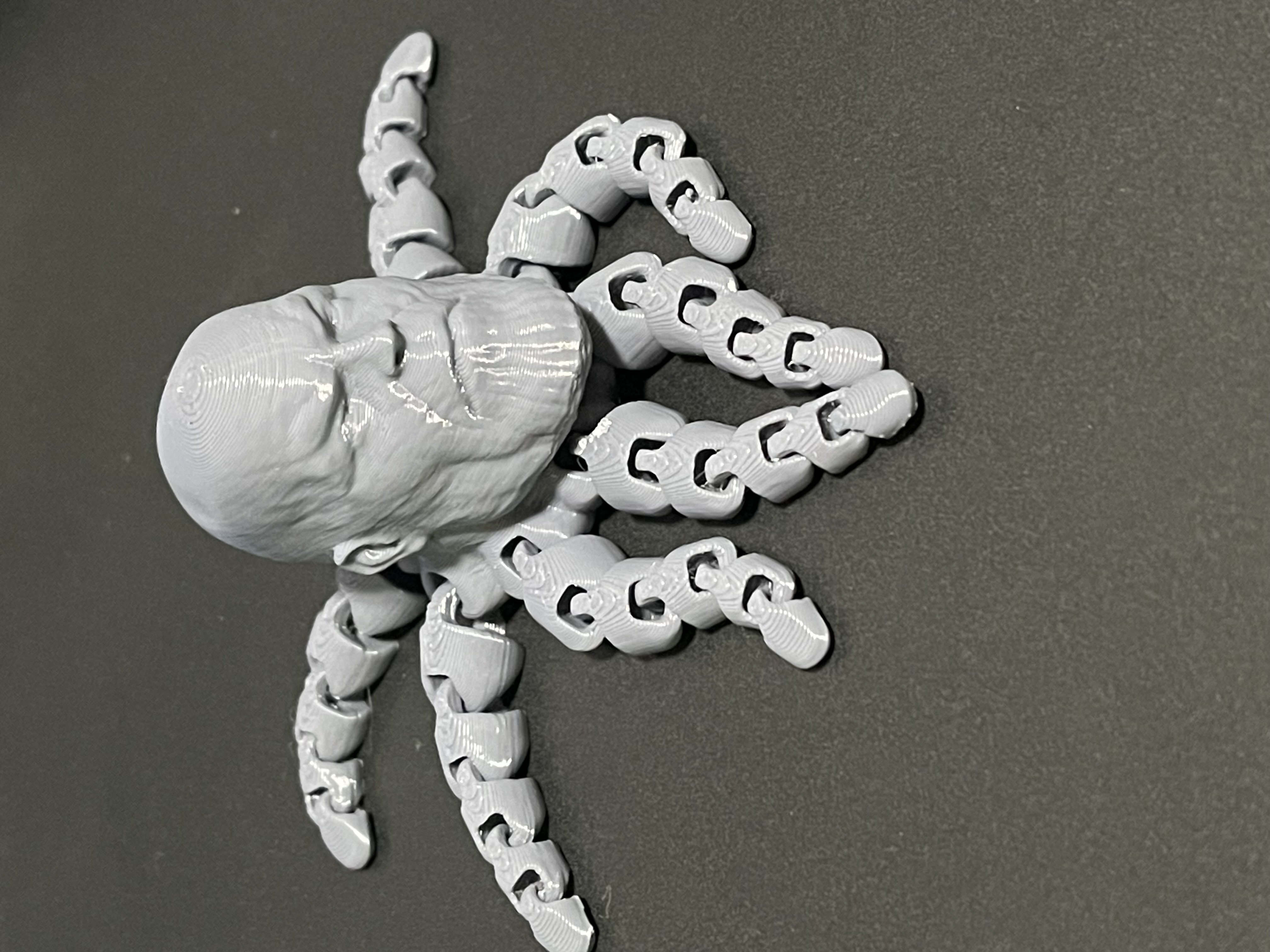 Thanopus - The Articulated Thanos Octopus!