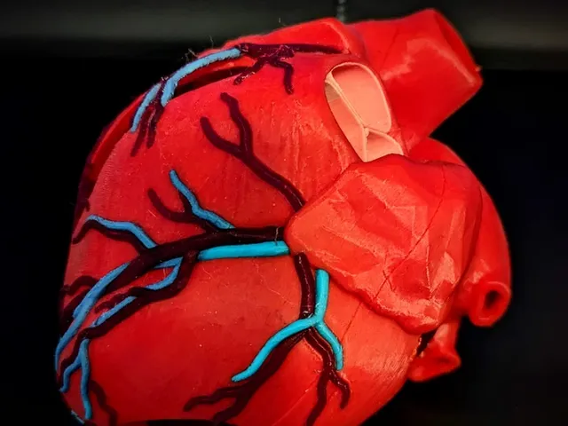 Anatomic Heart (Bambu 4 color filament)