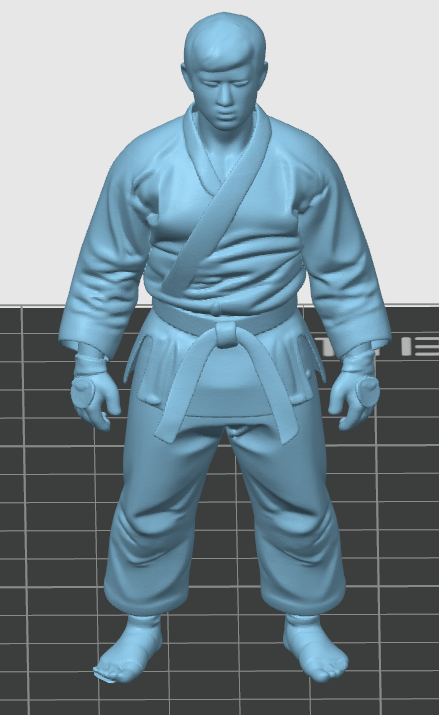 Judoka — miniatura 2