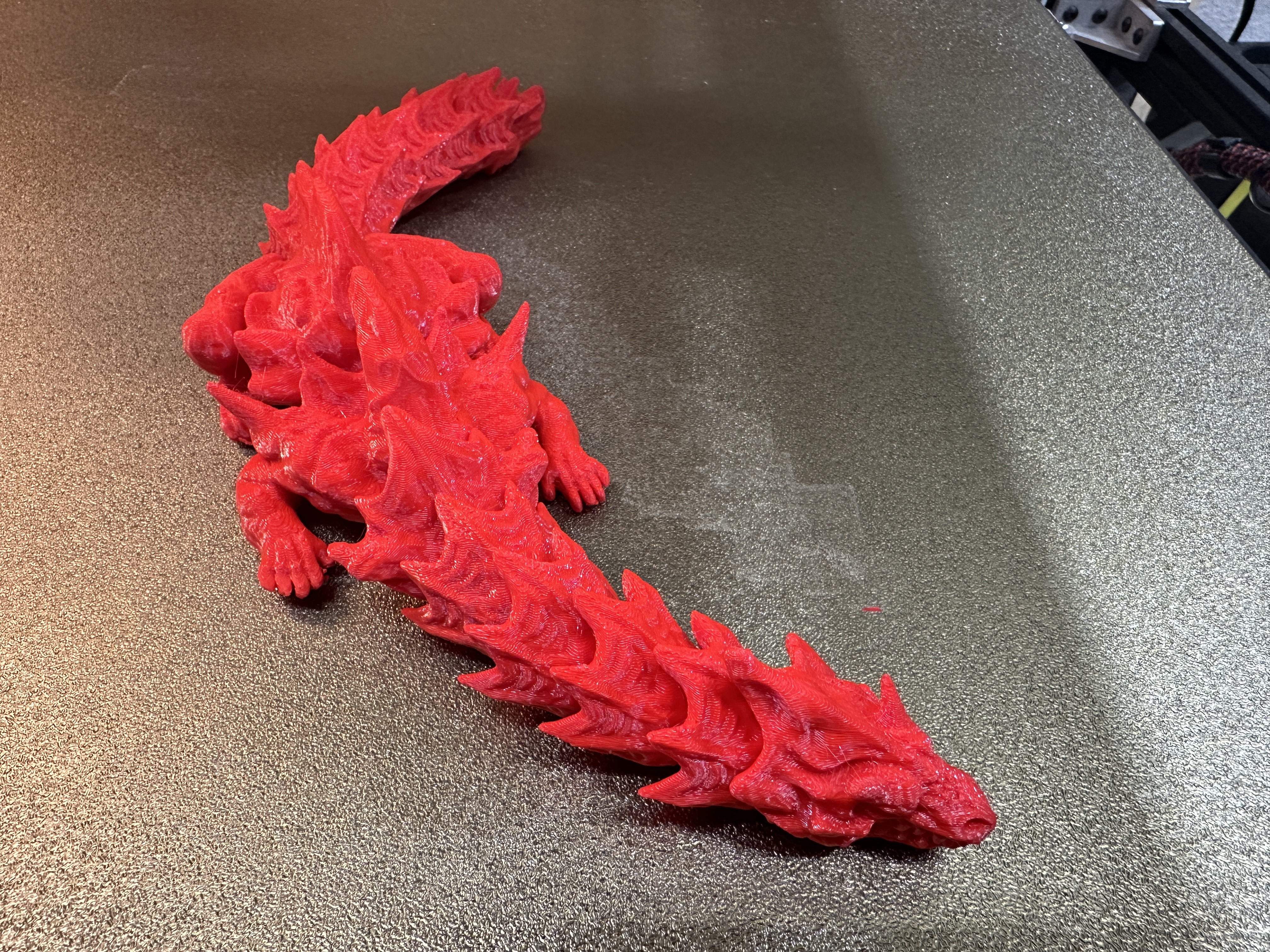 Dragon print in place