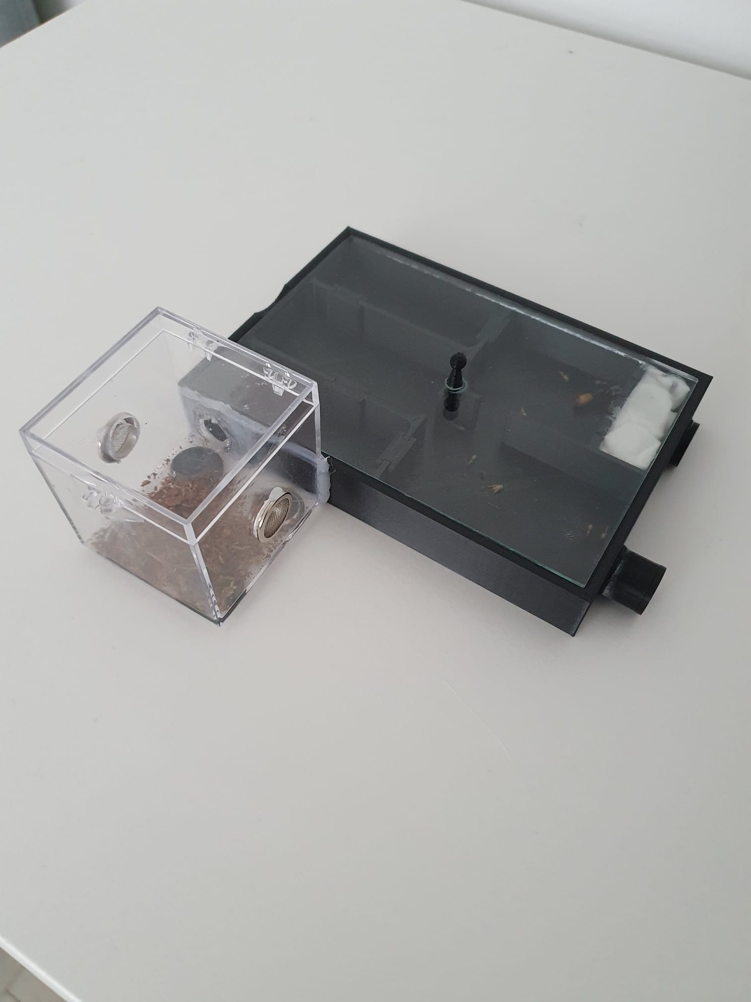 Formicarium