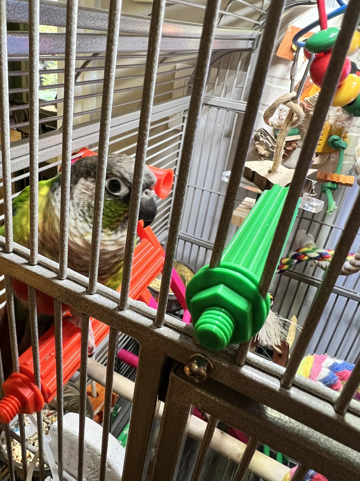 Bird Perch collection / Perchoirs pour oiseaux by Klagar | Download ...