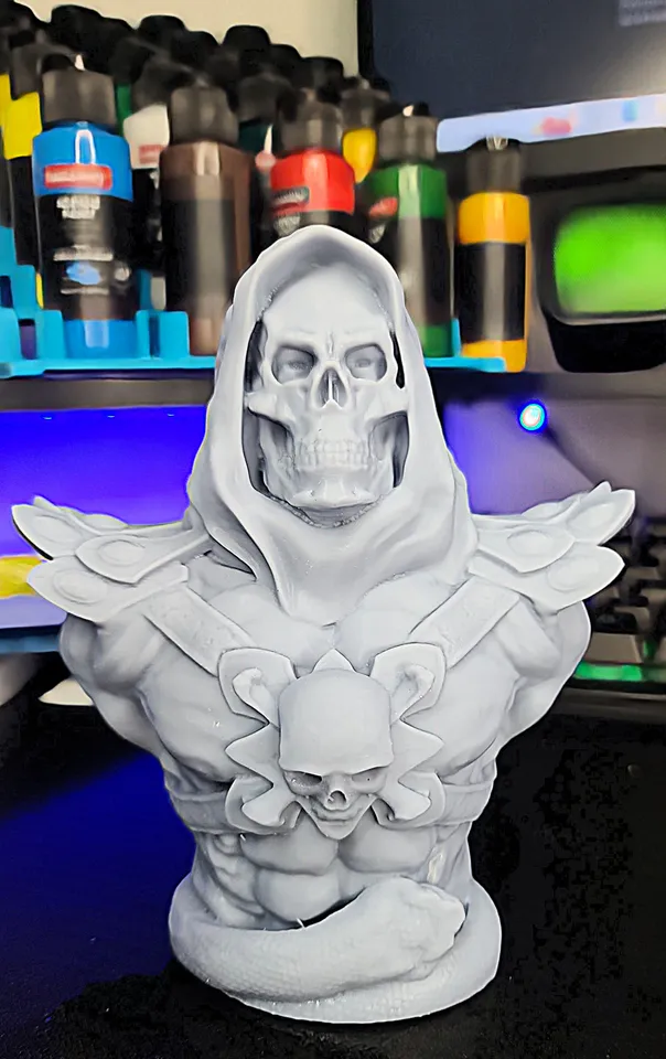 Skeletor Bust High Def Pre Supported Lychee Pro by BeardsNwildlife