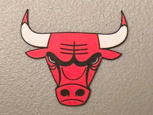 Multicolor Chicago Bulls Logo Magnet