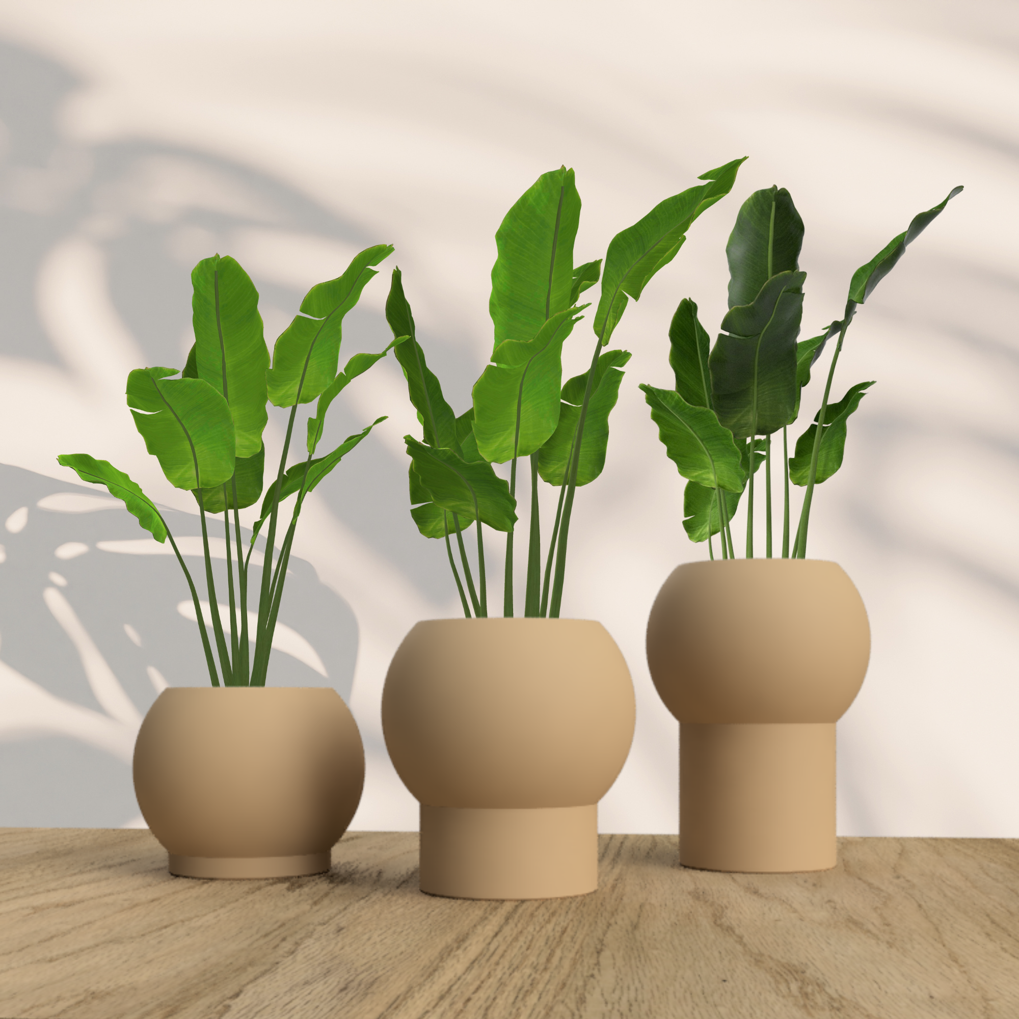 Flower Vase Set