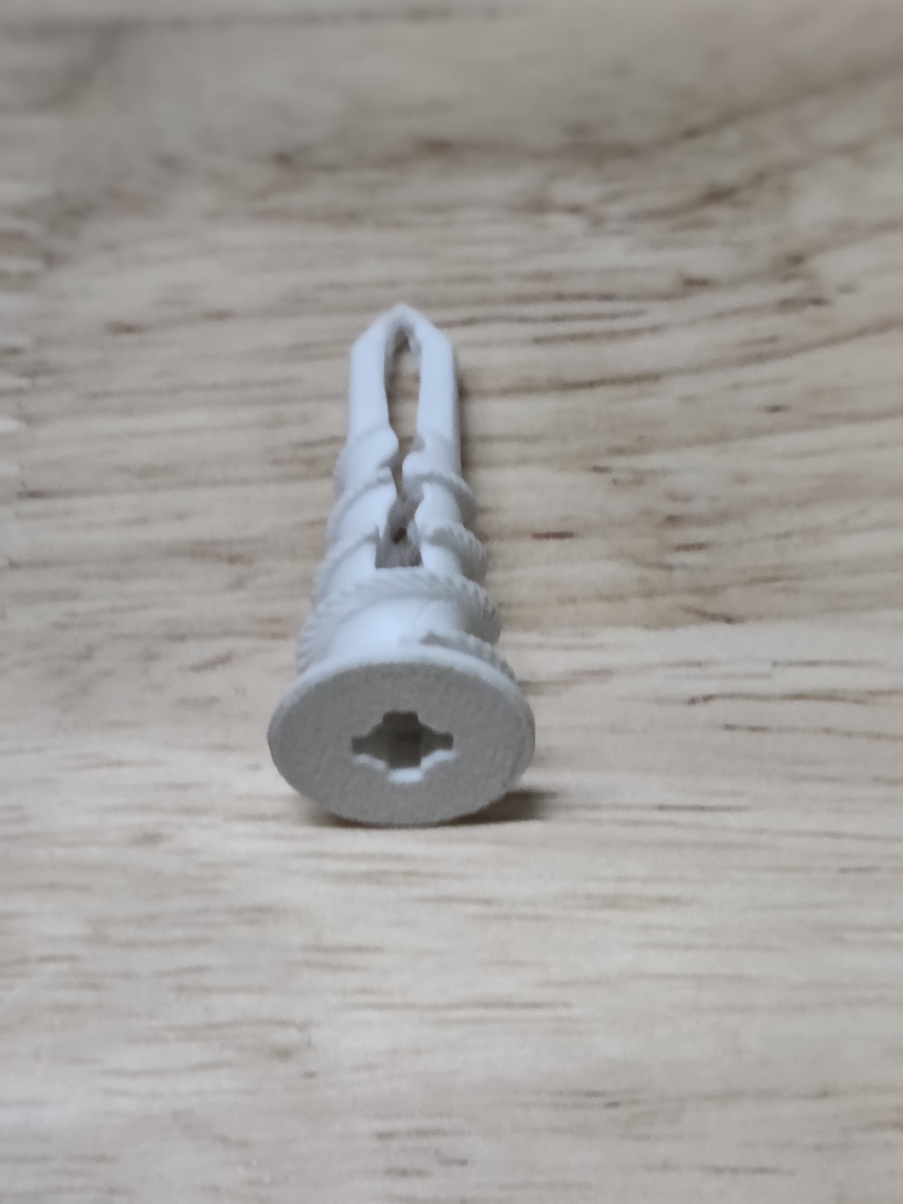 Plaster Plug