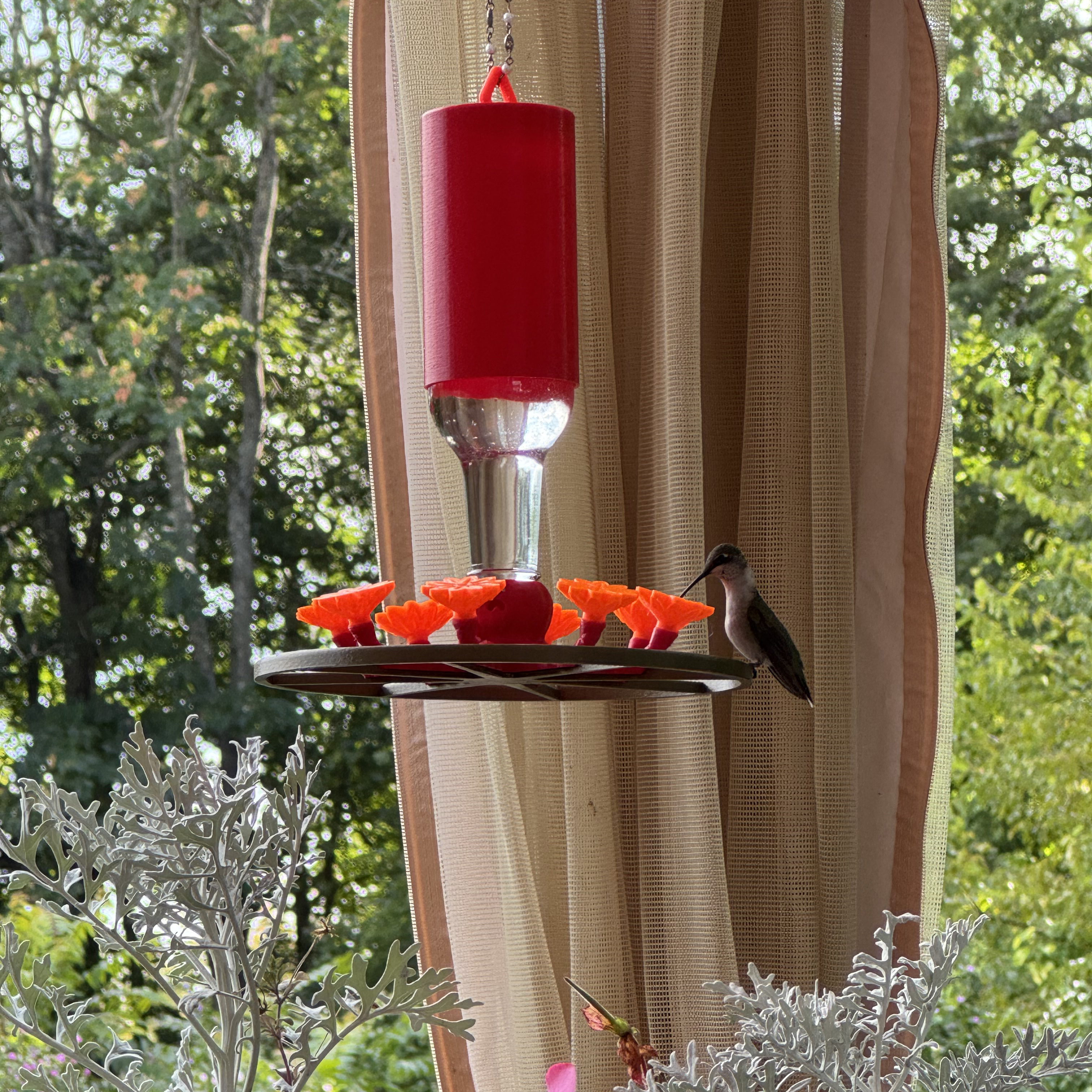 Octopus Hummingbird Feeder — miniatura 2