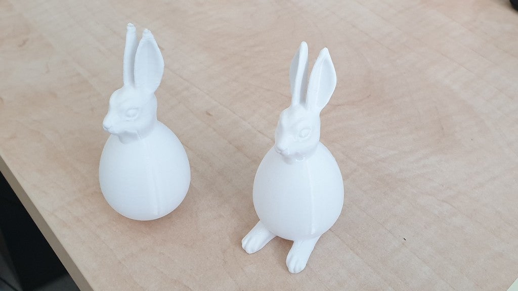 BunnyEgg
