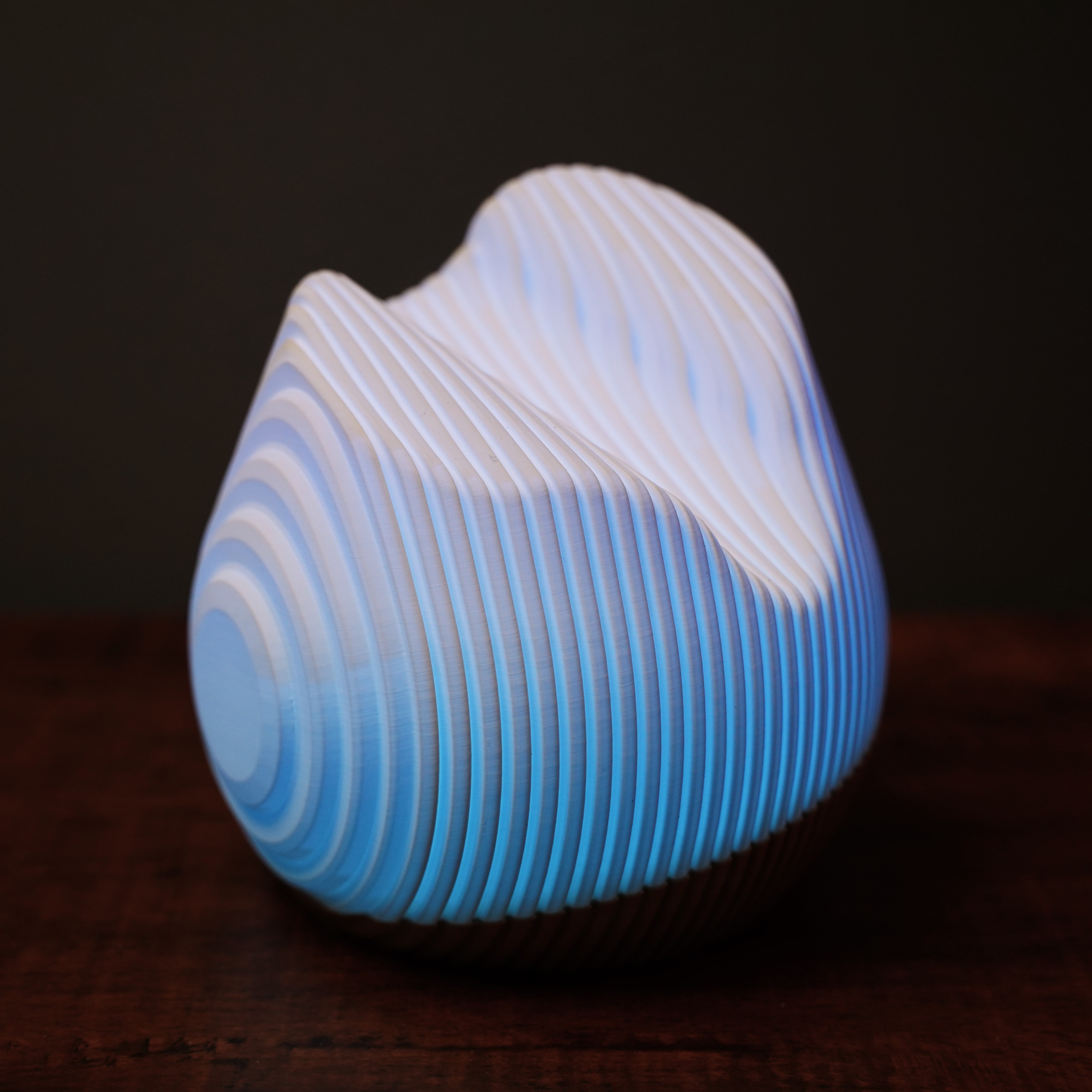 Modern Abstract Lamp