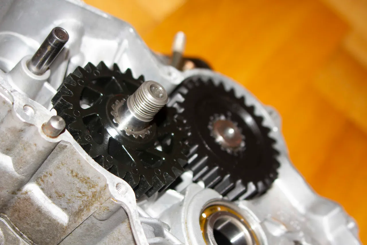 balance-shaft-gears-by-apostolos-kalafatis-download-free-stl-model