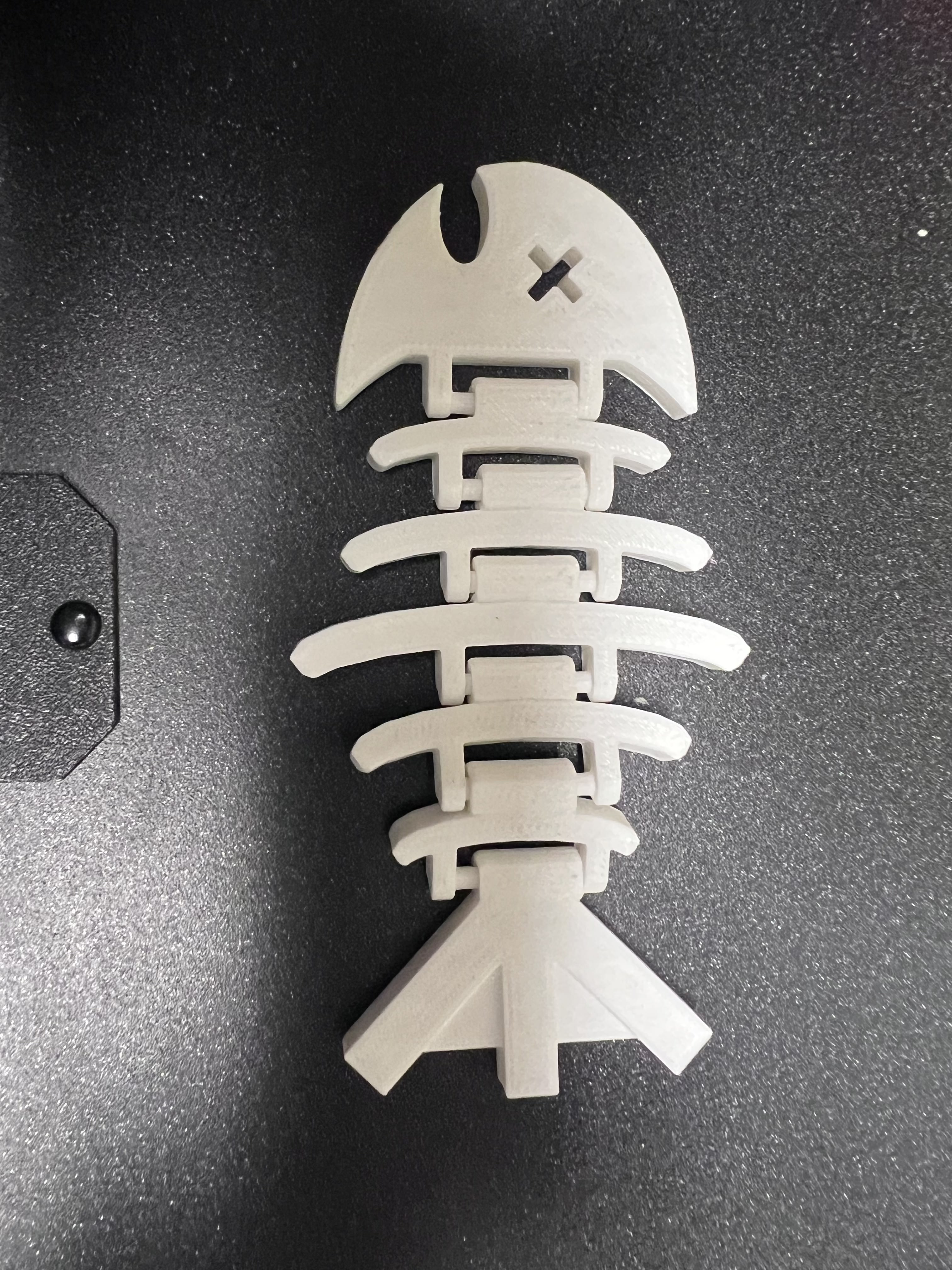 Print in Place Floppy Fish Skeleton