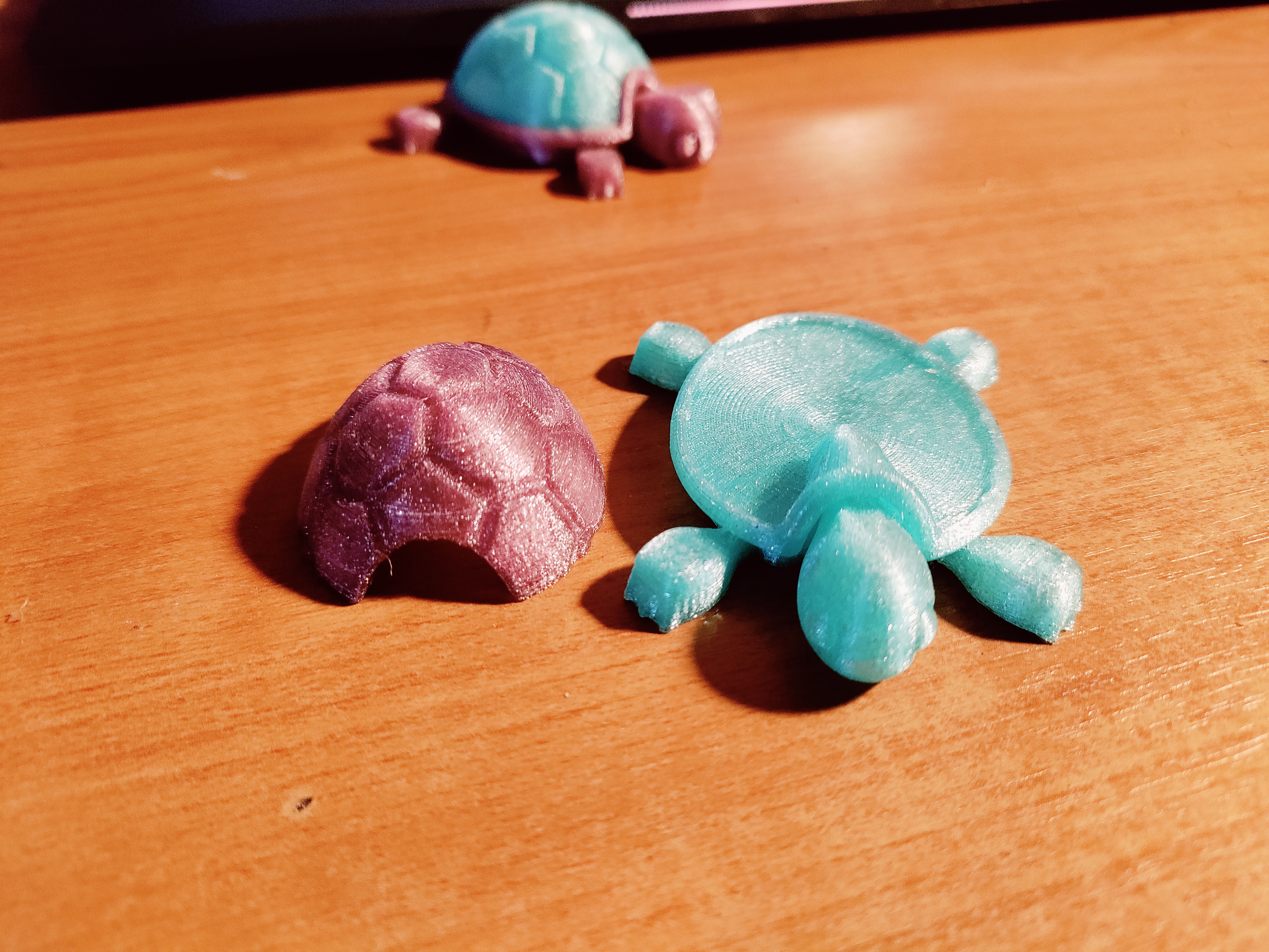 Turtle with removable shell