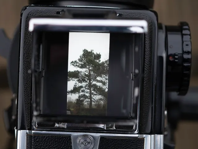 Hasselblad V series viewfinder mask for 56x24mm images on 35mm film