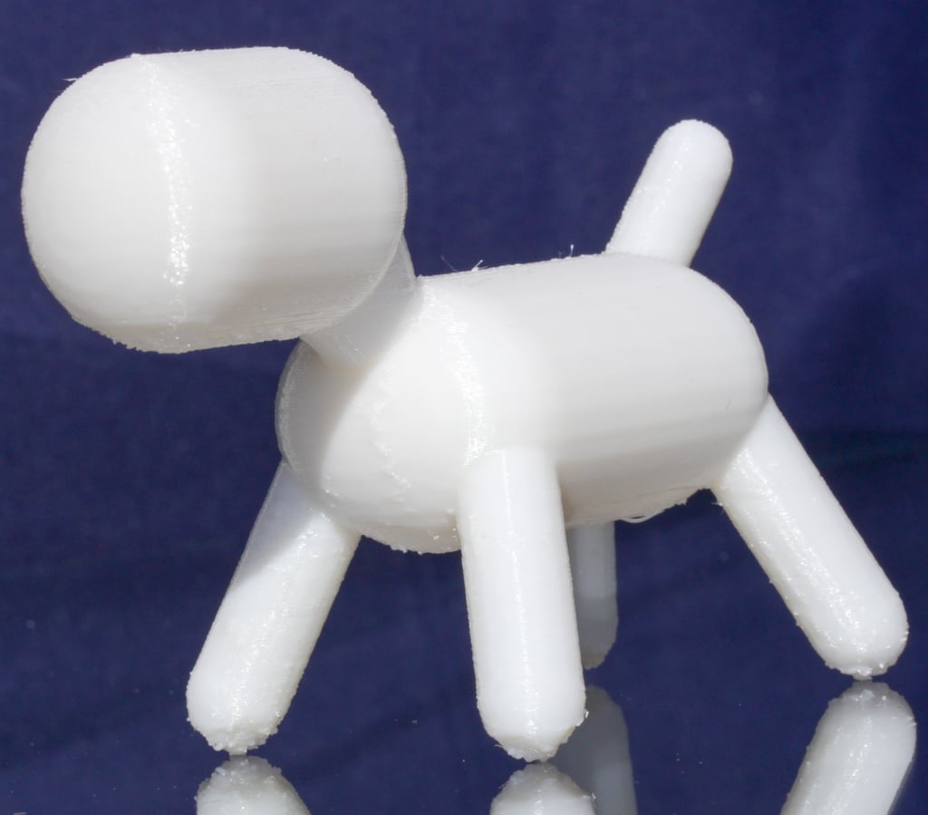 Rascal The Dog