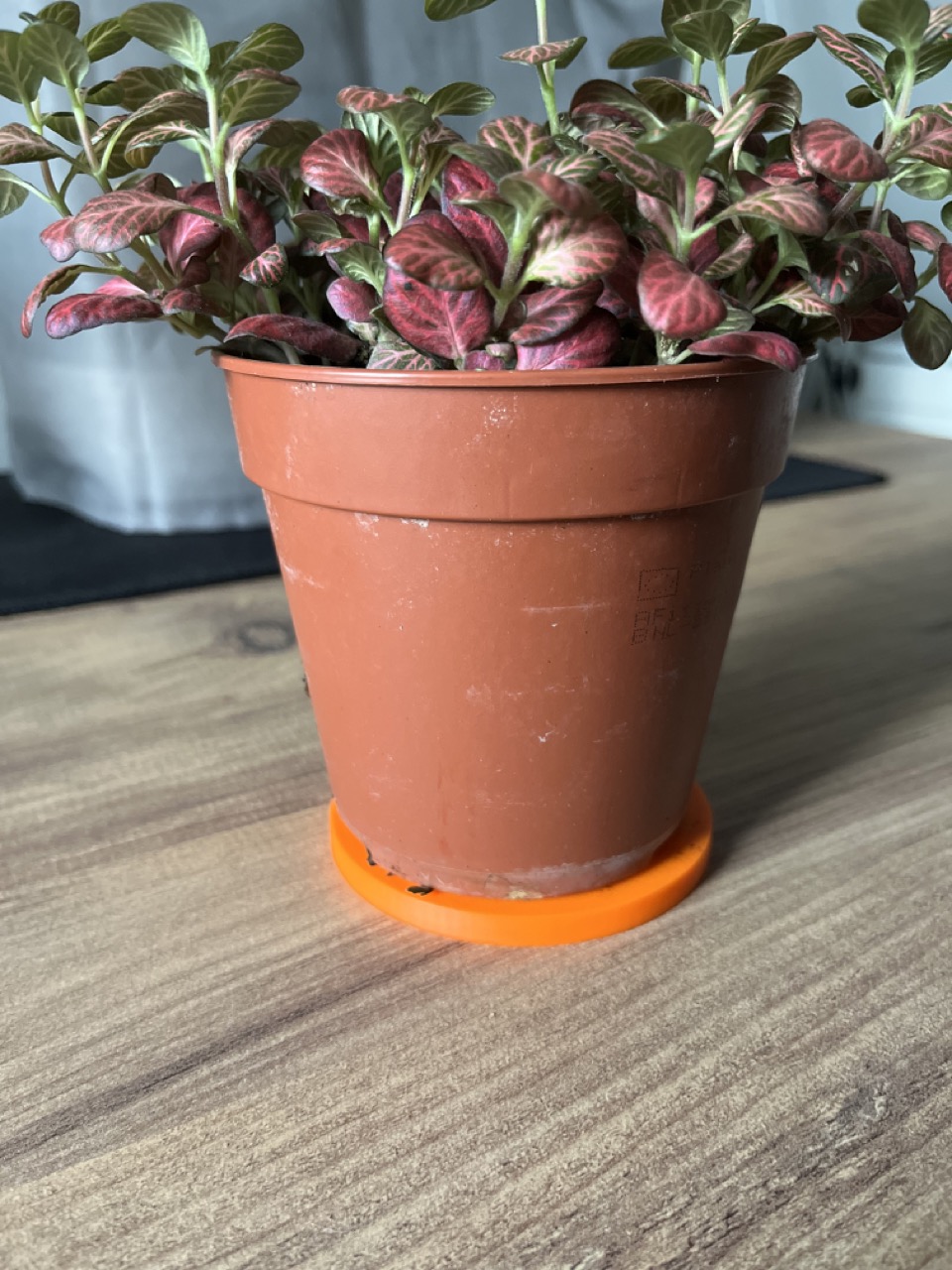 Miniatura 3 do modelo 3D Plant Pot Riser