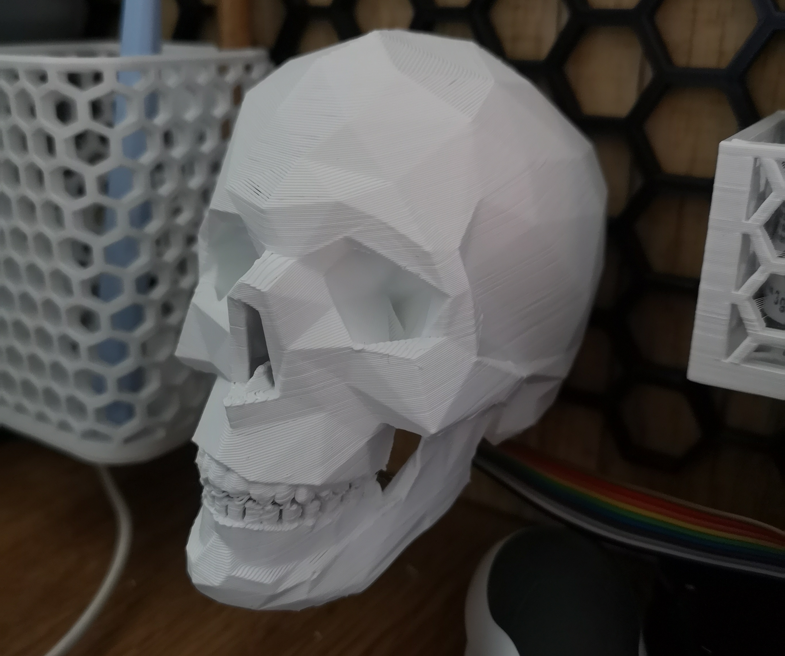 HSW Low poly skull