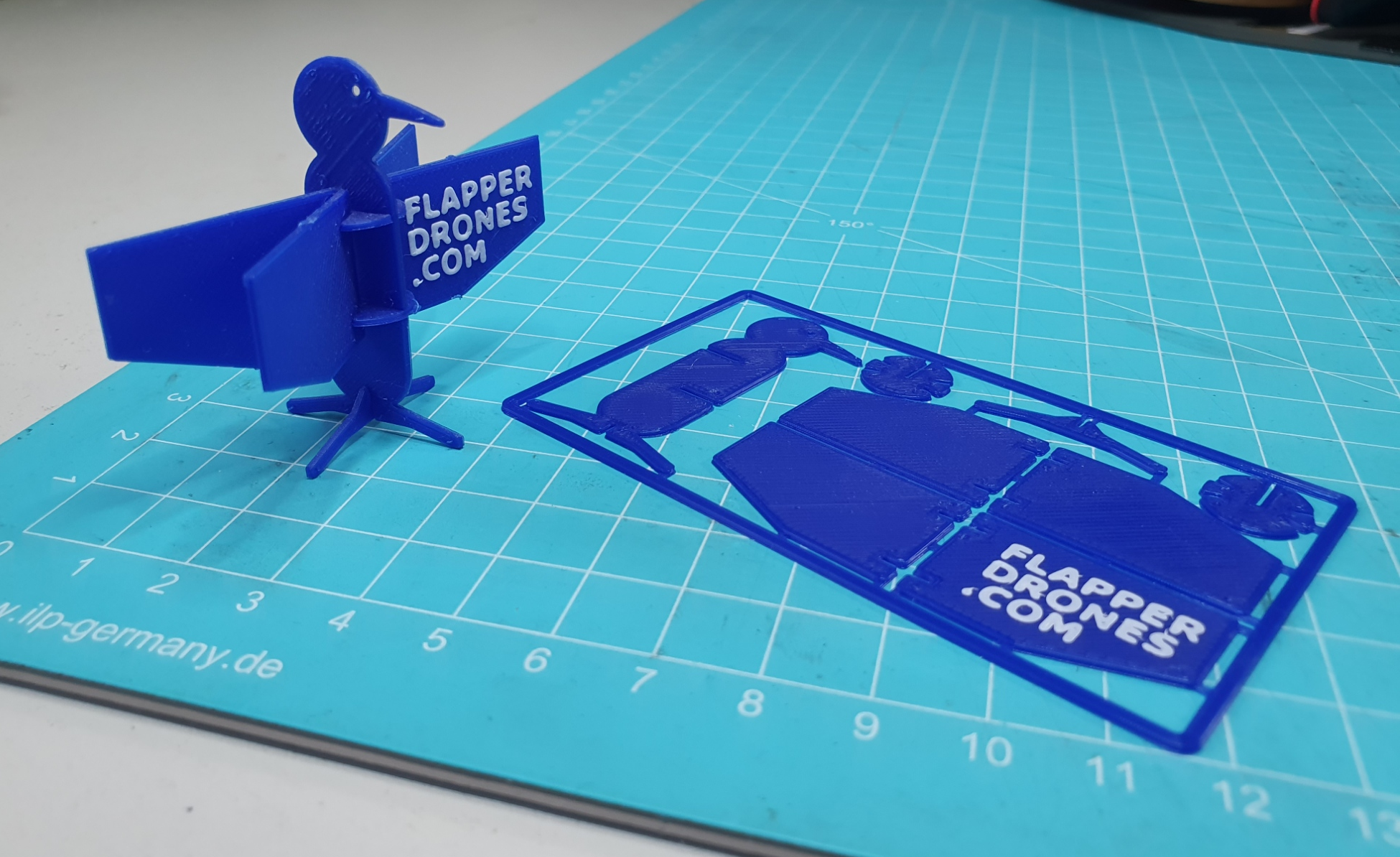 Flapper puzzle