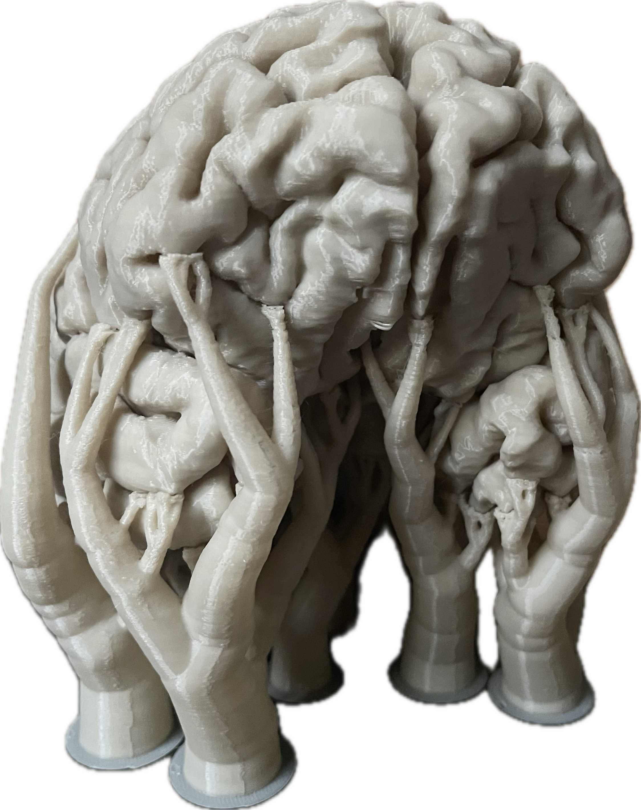 Human Brain from MRI images