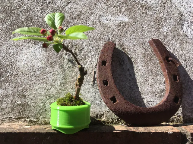 Bonsai Drum Pot (Shohin)