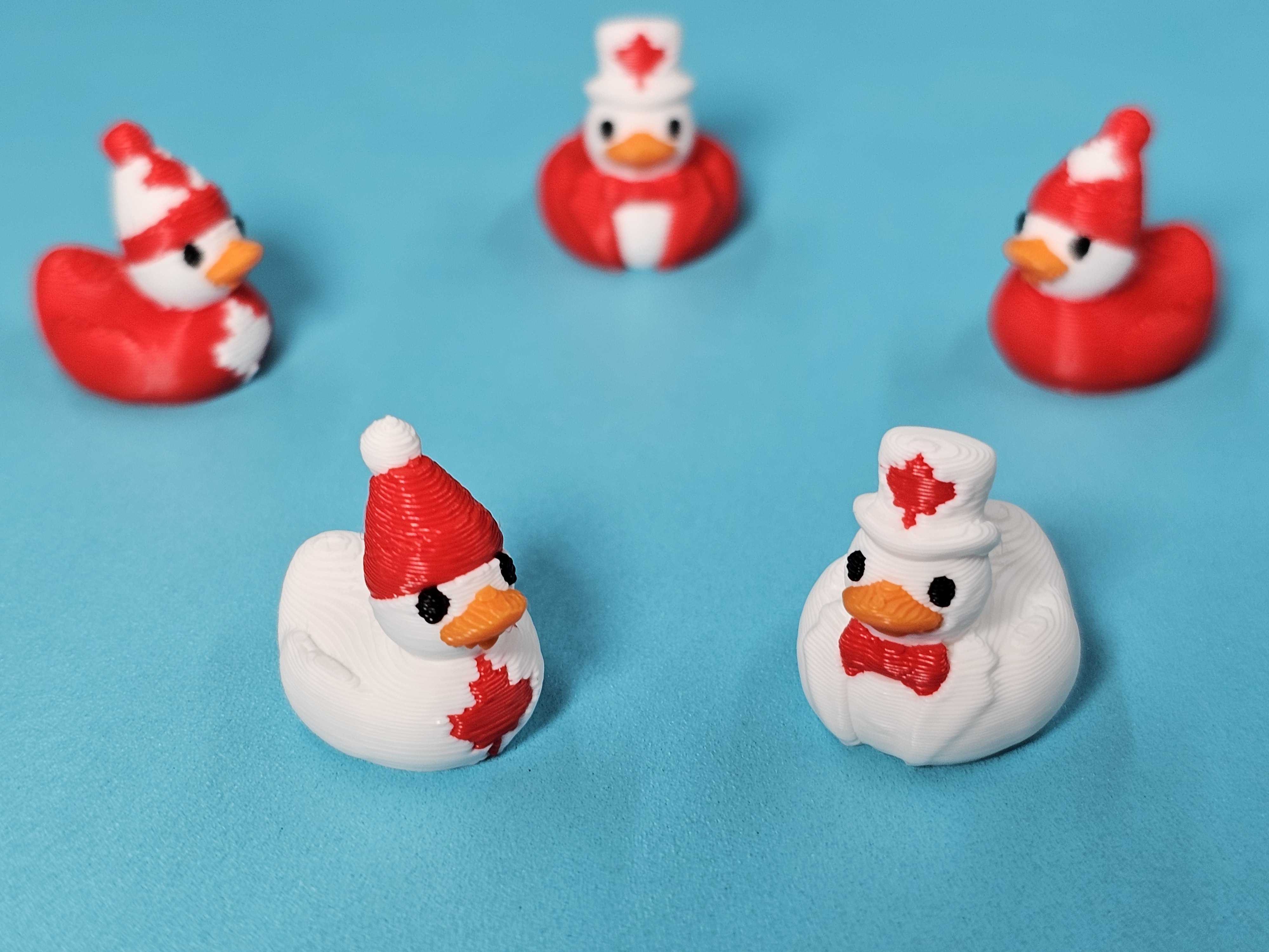 Canadian Rubber Duck Collection | Lorne & Dougie | Canada Day