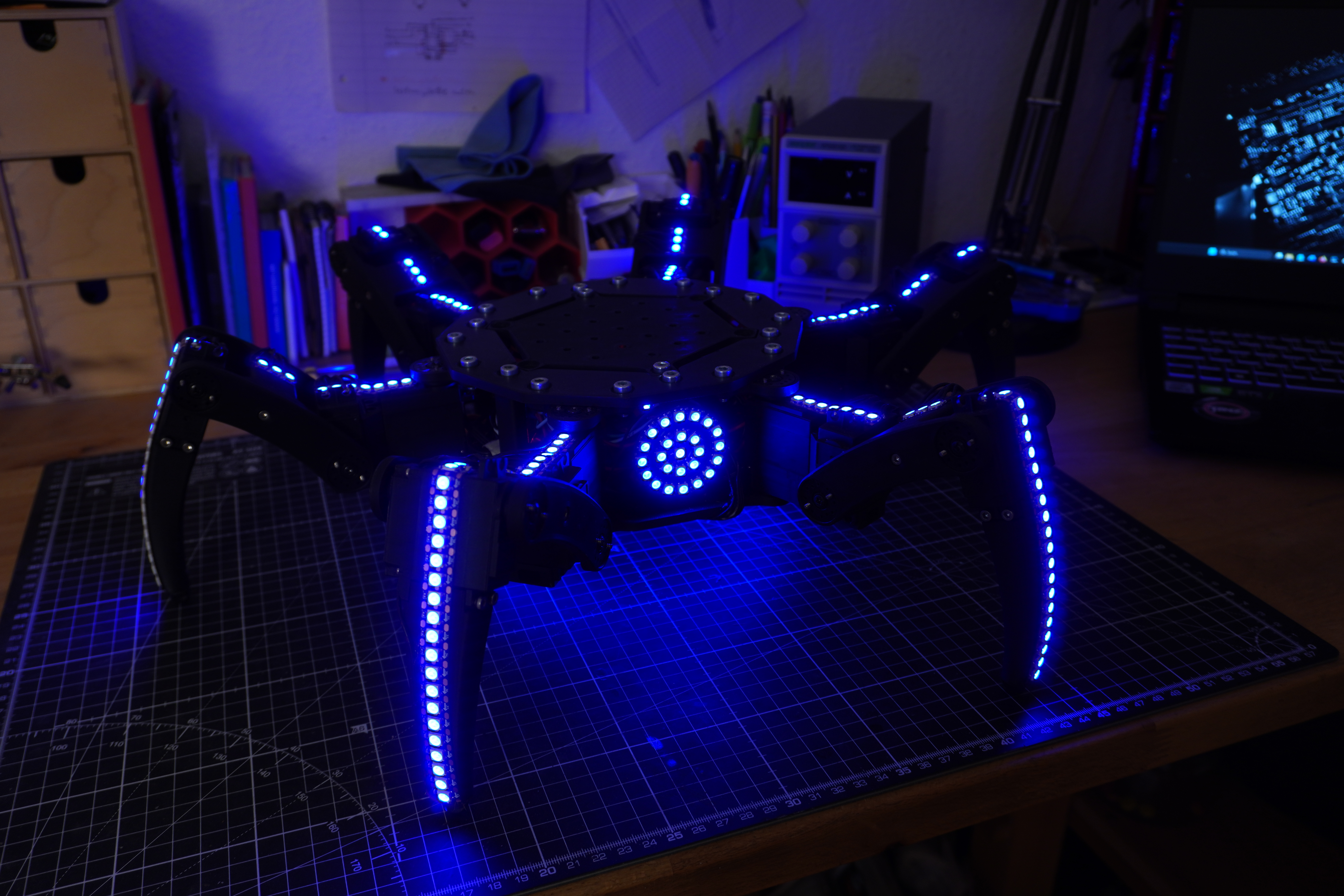3D Printed Hexapod