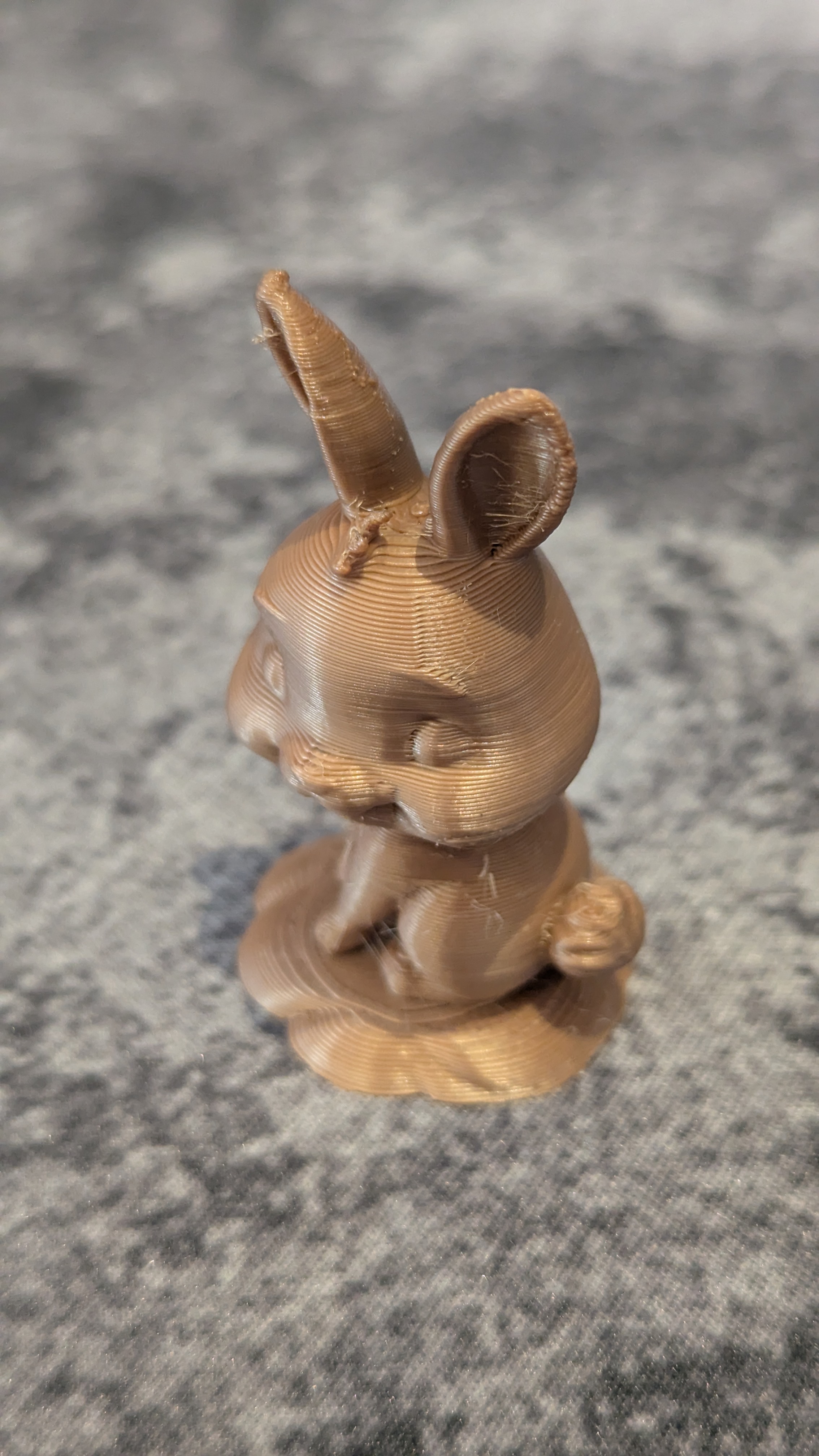 Cute Rabbit