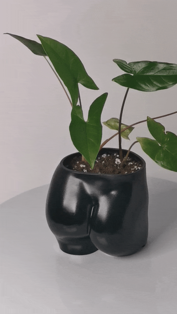 FREE WOMAN BUTT PLANTER | 3D PRINT FILE STL PLANTER MODEL FEMALE