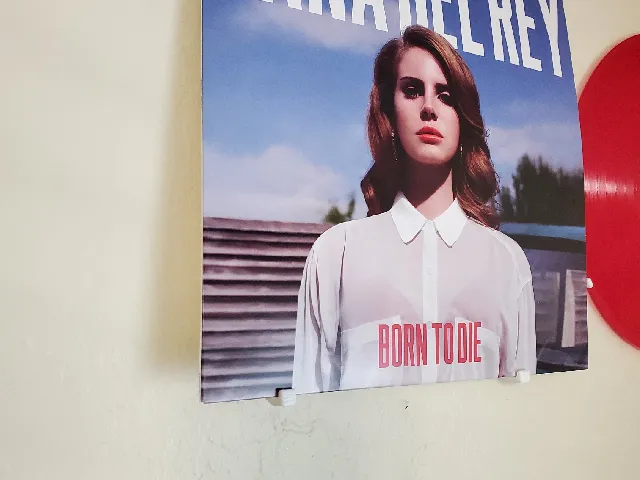 Vinyl Disc and Cover hanger