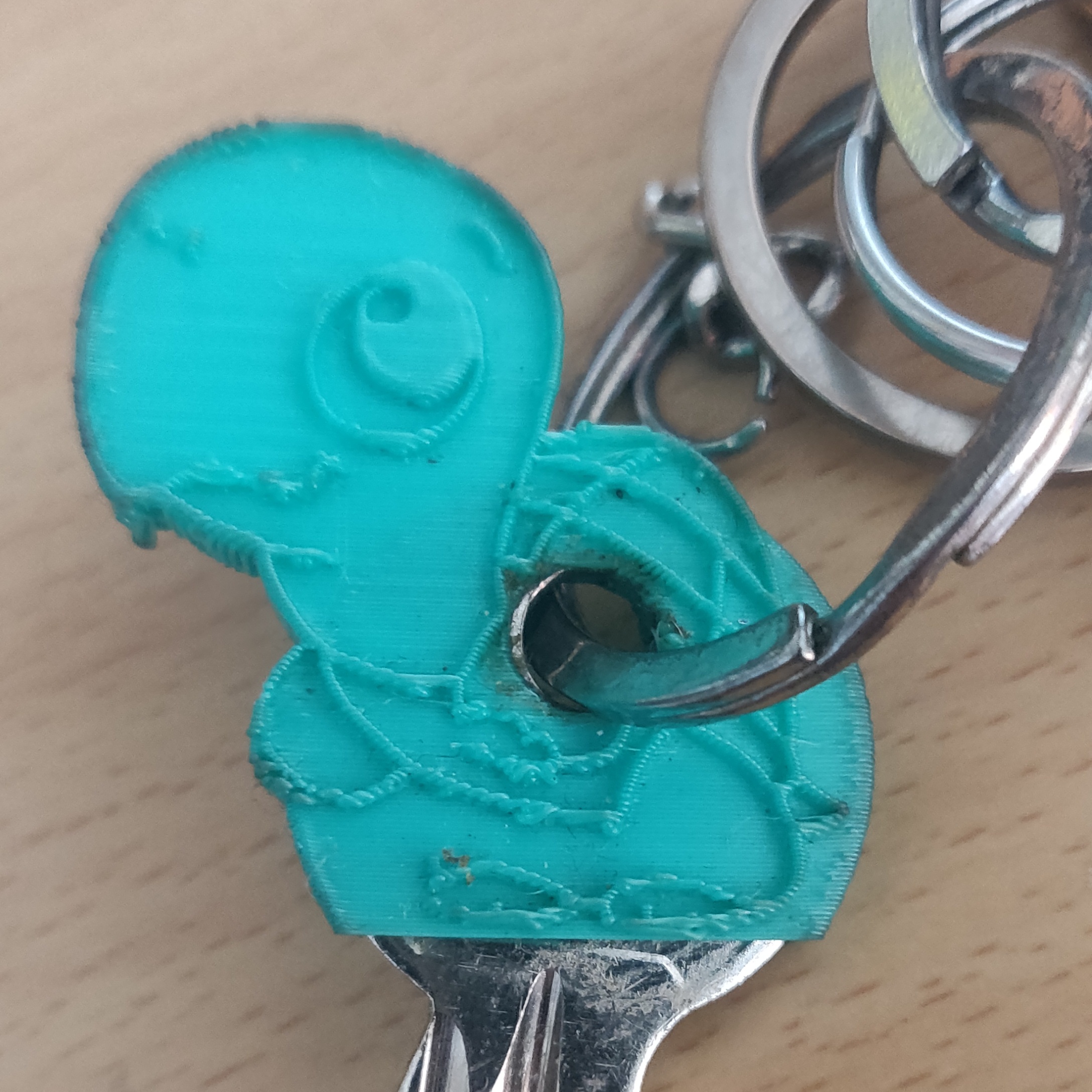 Tortoise Key Cover