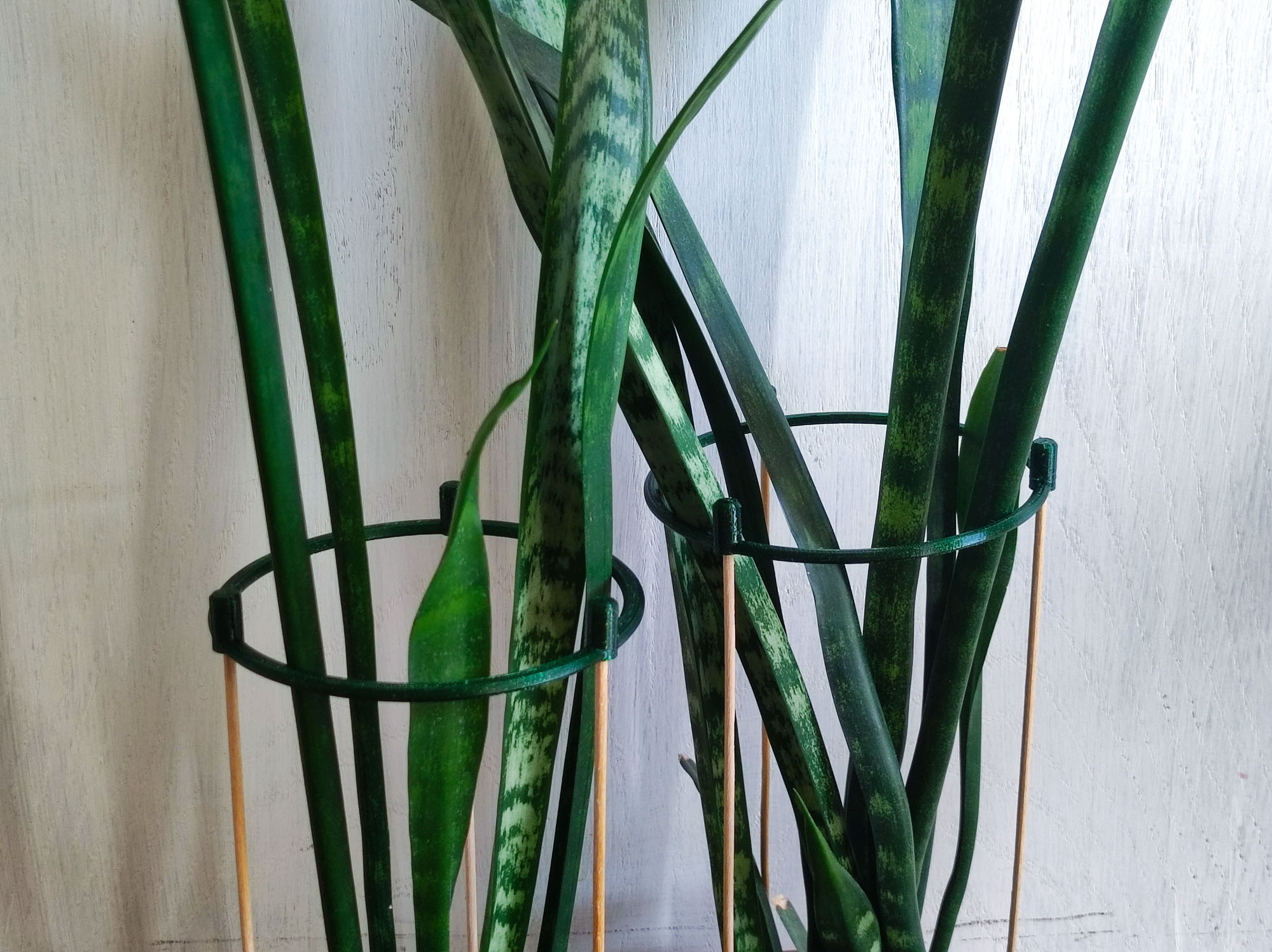 Plant Support